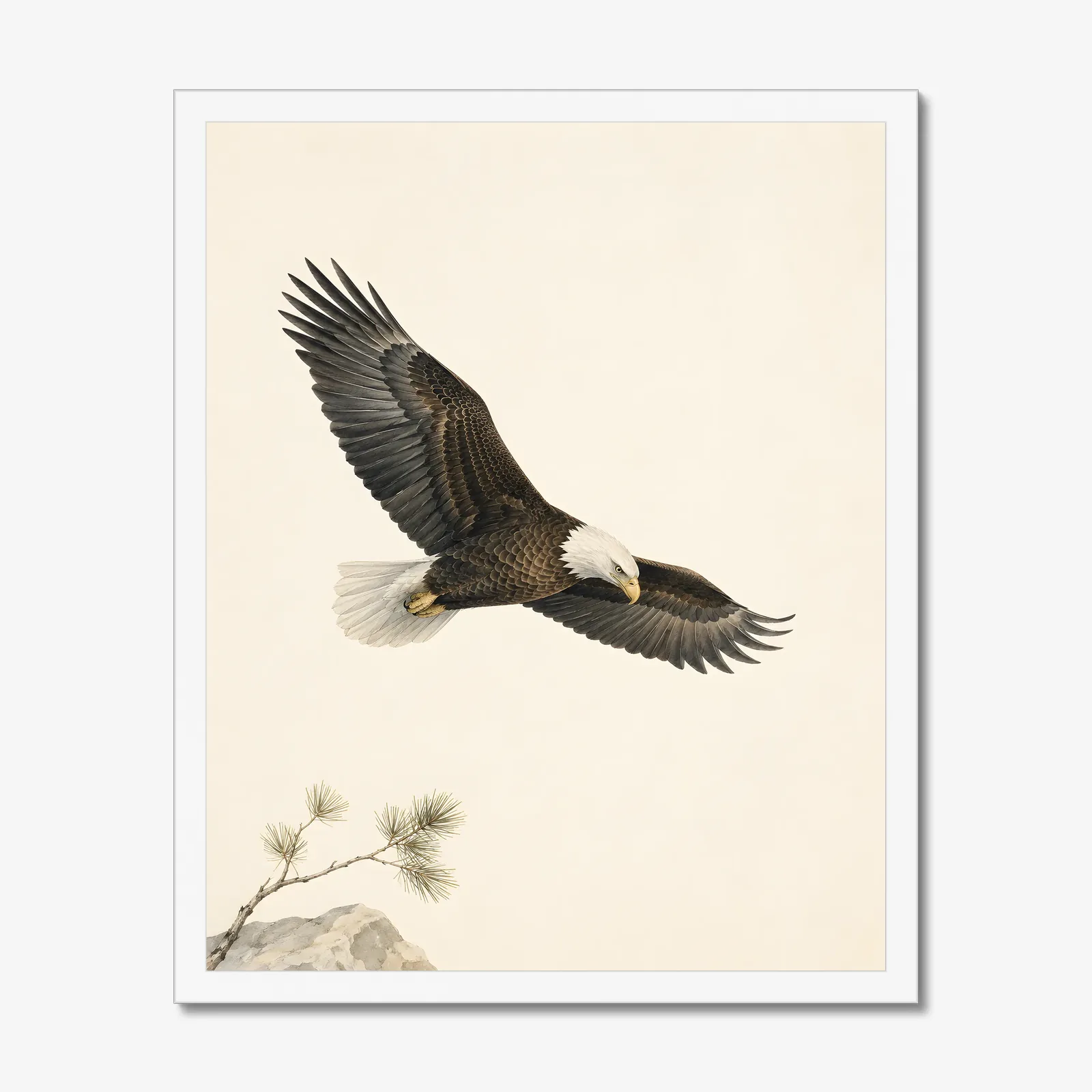 Bald Eagle Print - In Flight in a white frame