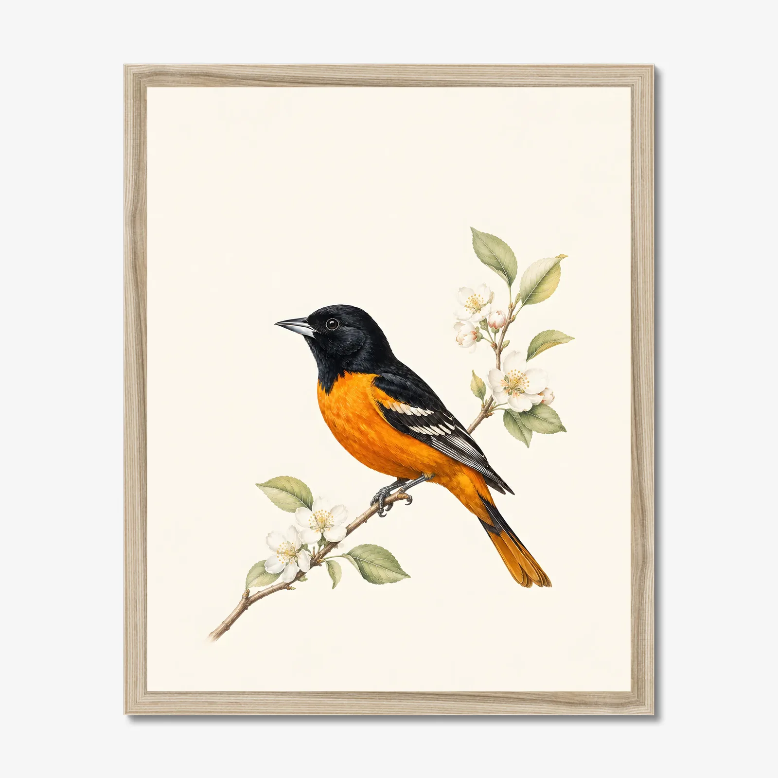 Baltimore Oriole Print shown as a fine-art print