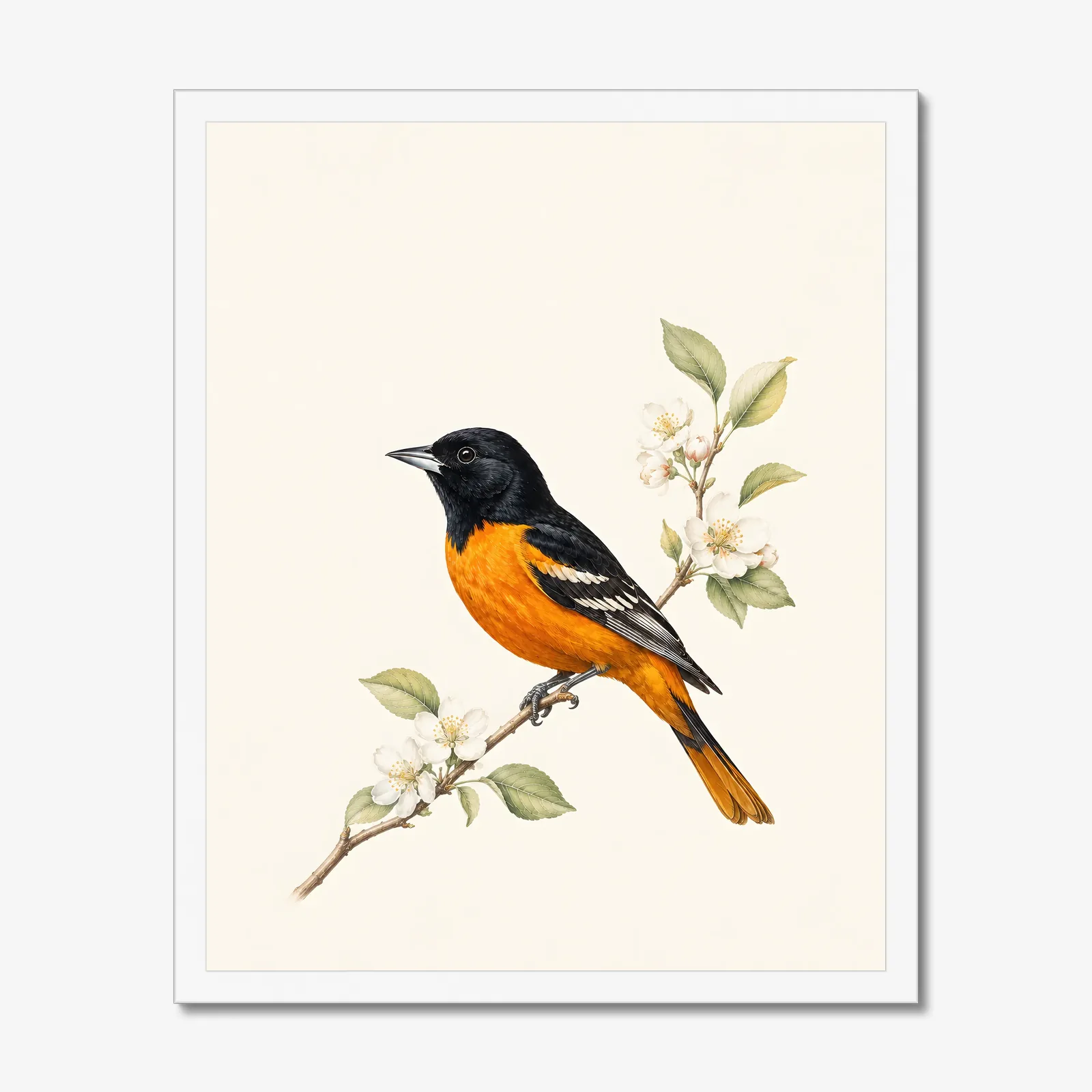 Baltimore Oriole Print in a white frame