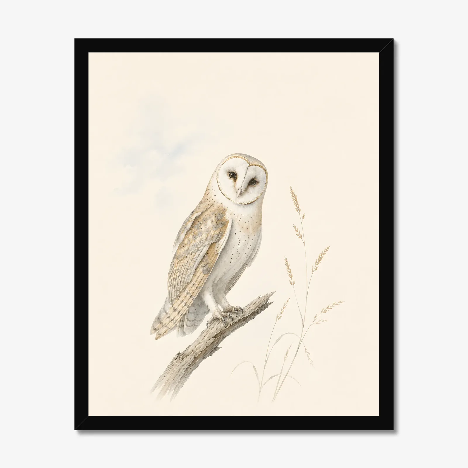 Barn Owl Print in a black frame