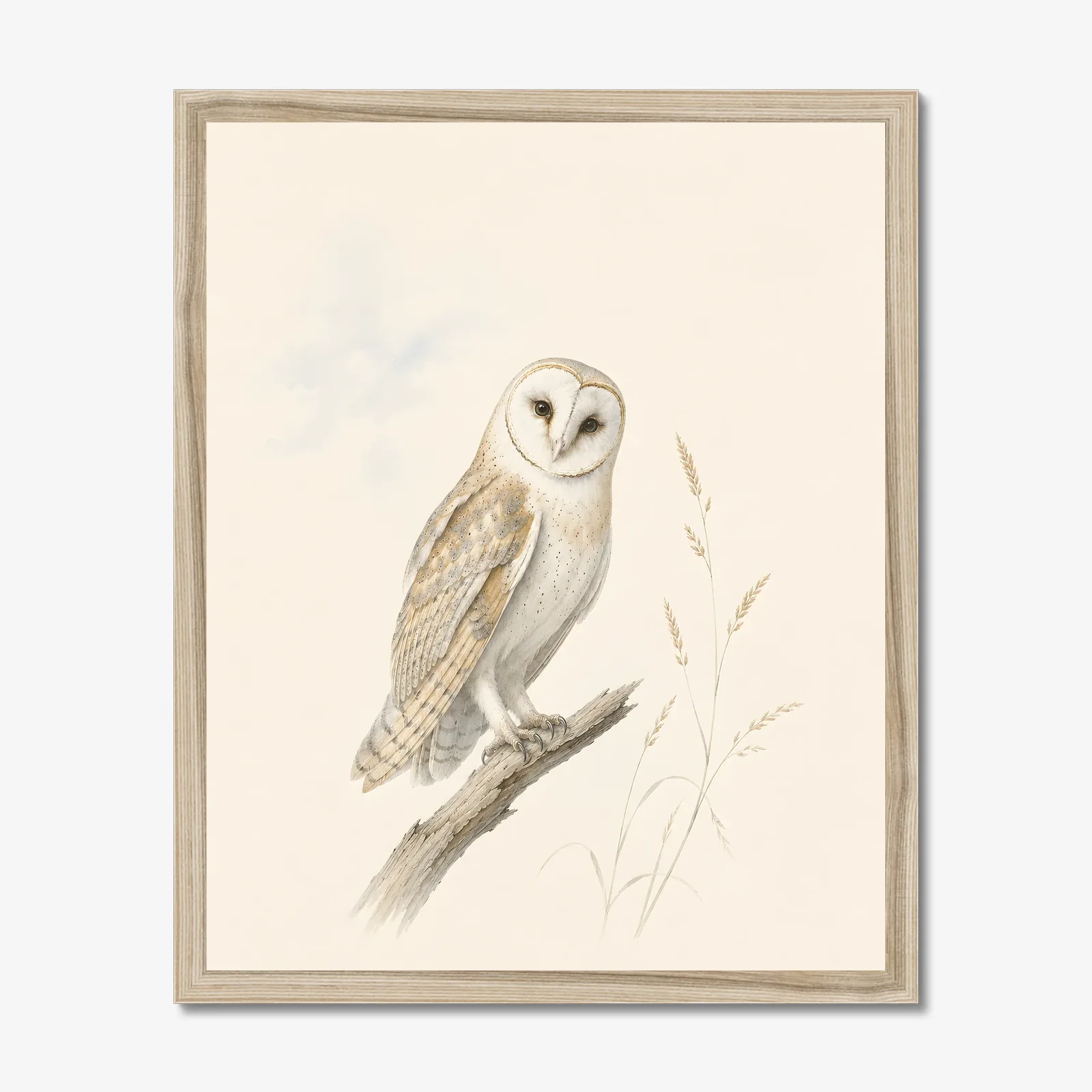 Barn Owl Print in a natural frame