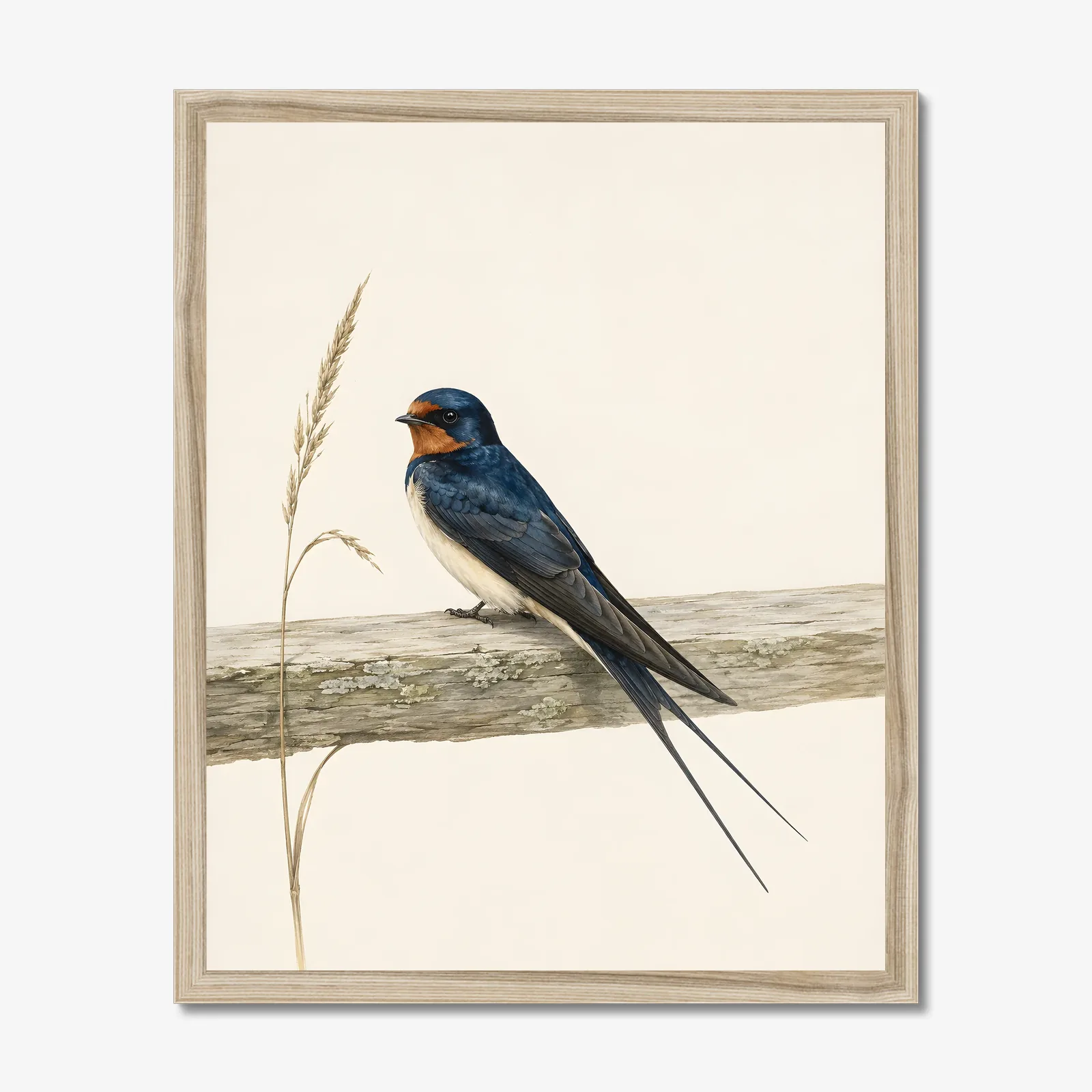 Barn Swallow Print in a natural frame