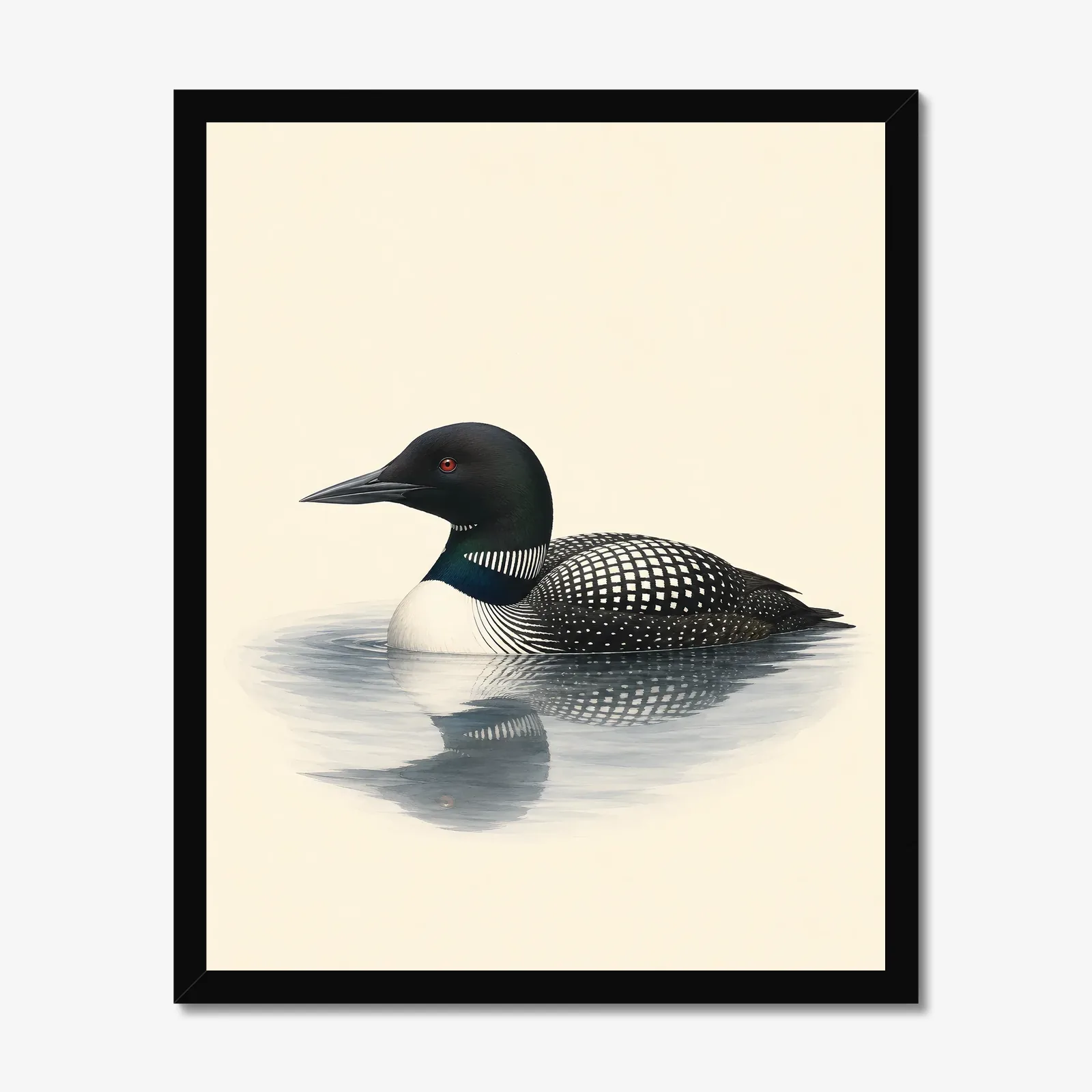 Common Loon Print in a black frame