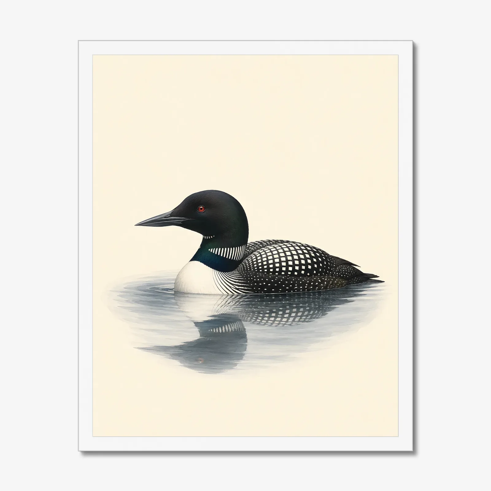 Common Loon Print in a white frame