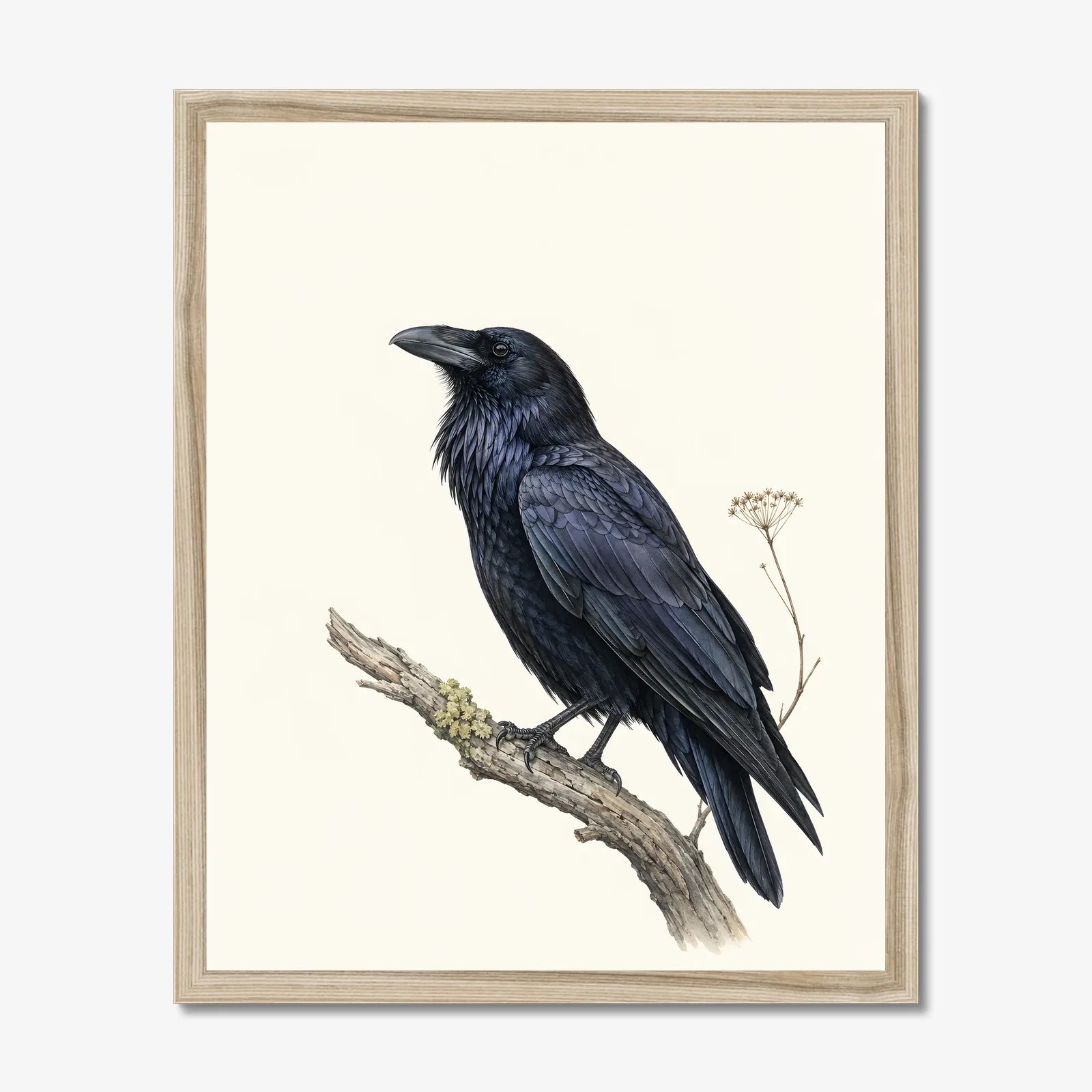 Common Raven Print in a natural frame