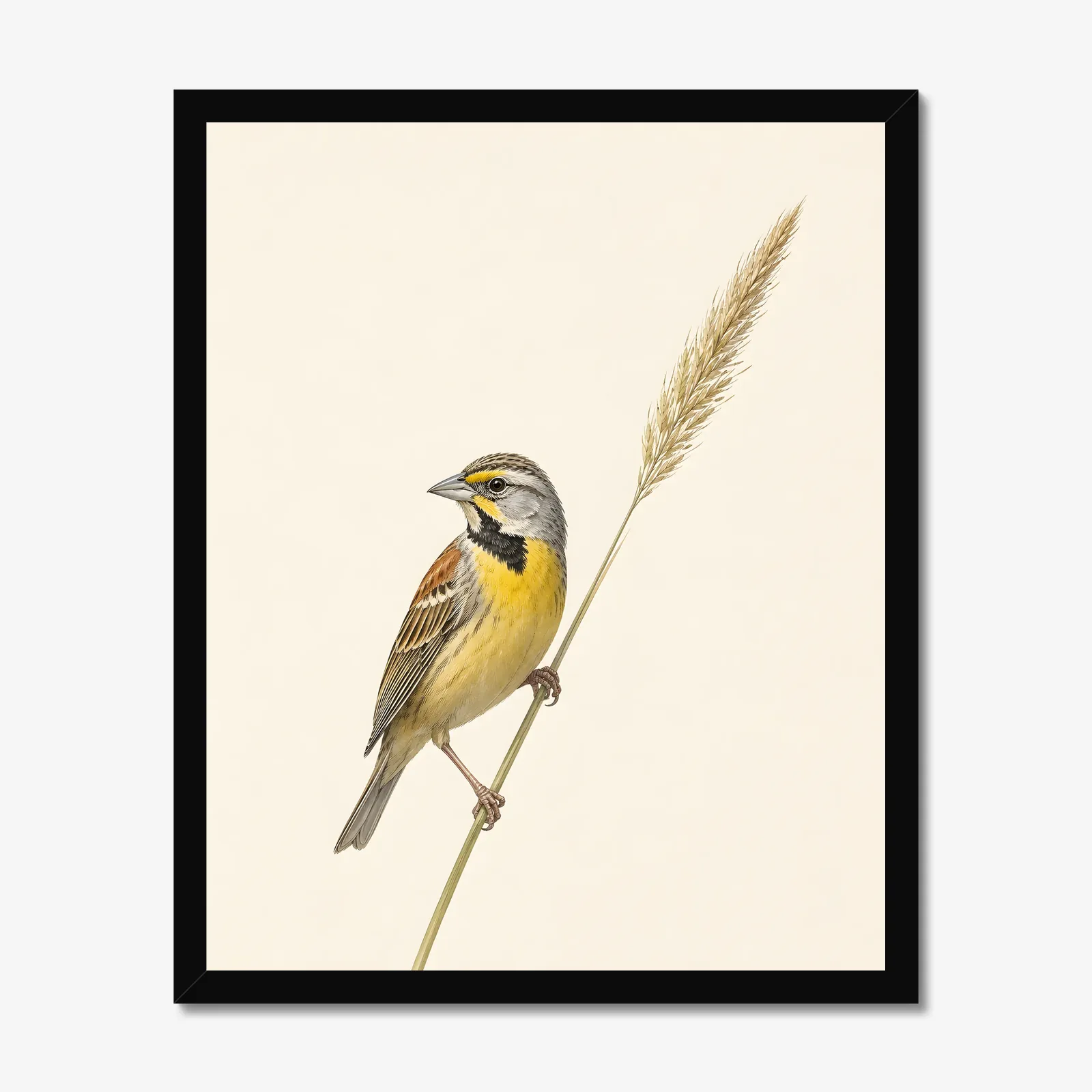 Dickcissel Print - Prairie Songbird Wall Art in a black frame
