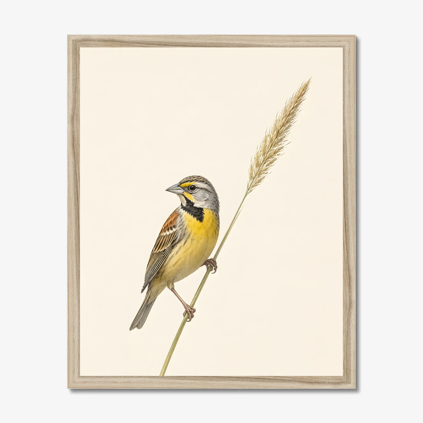 Dickcissel Print - Prairie Songbird Wall Art in a natural frame
