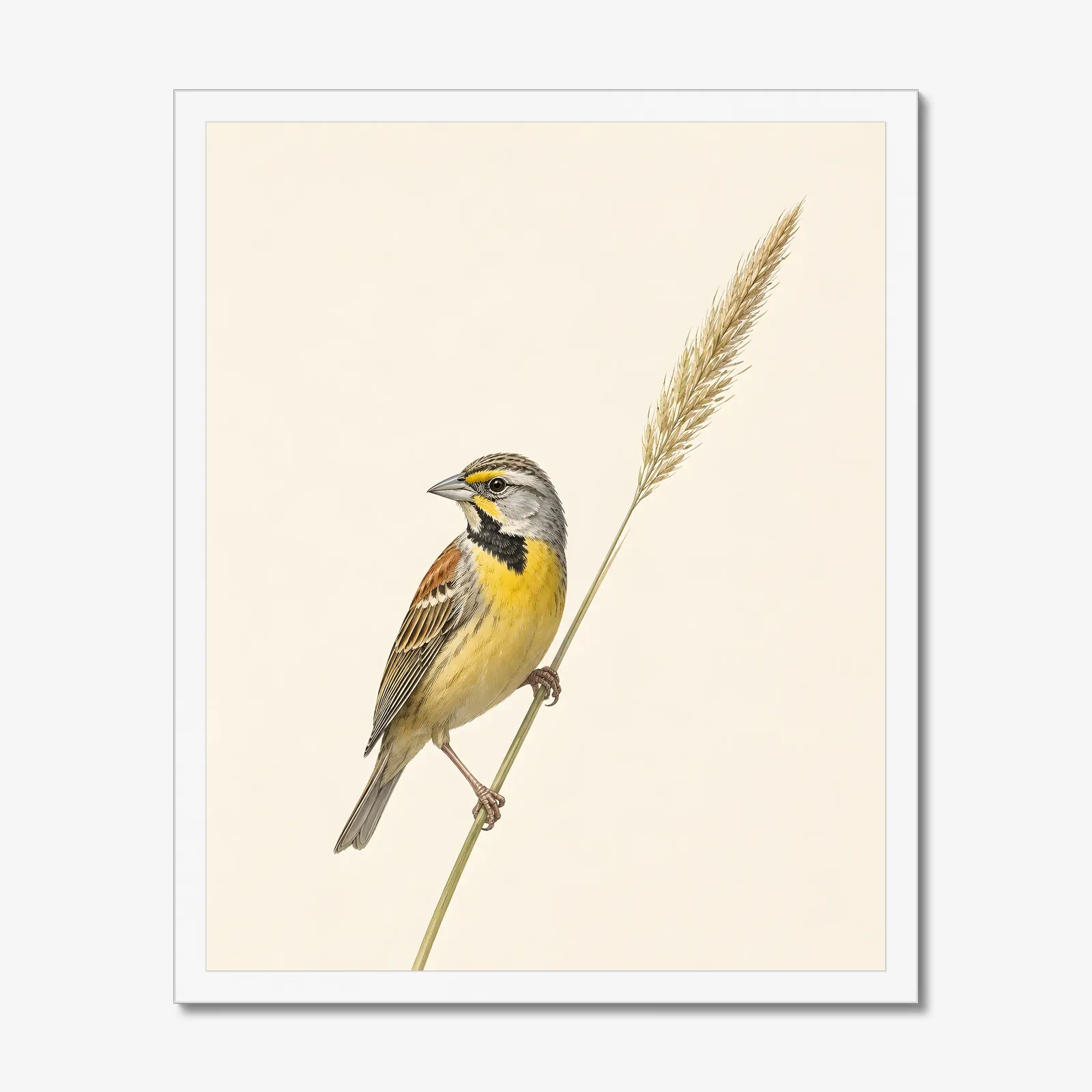 Dickcissel Print - Prairie Songbird Wall Art in a white frame