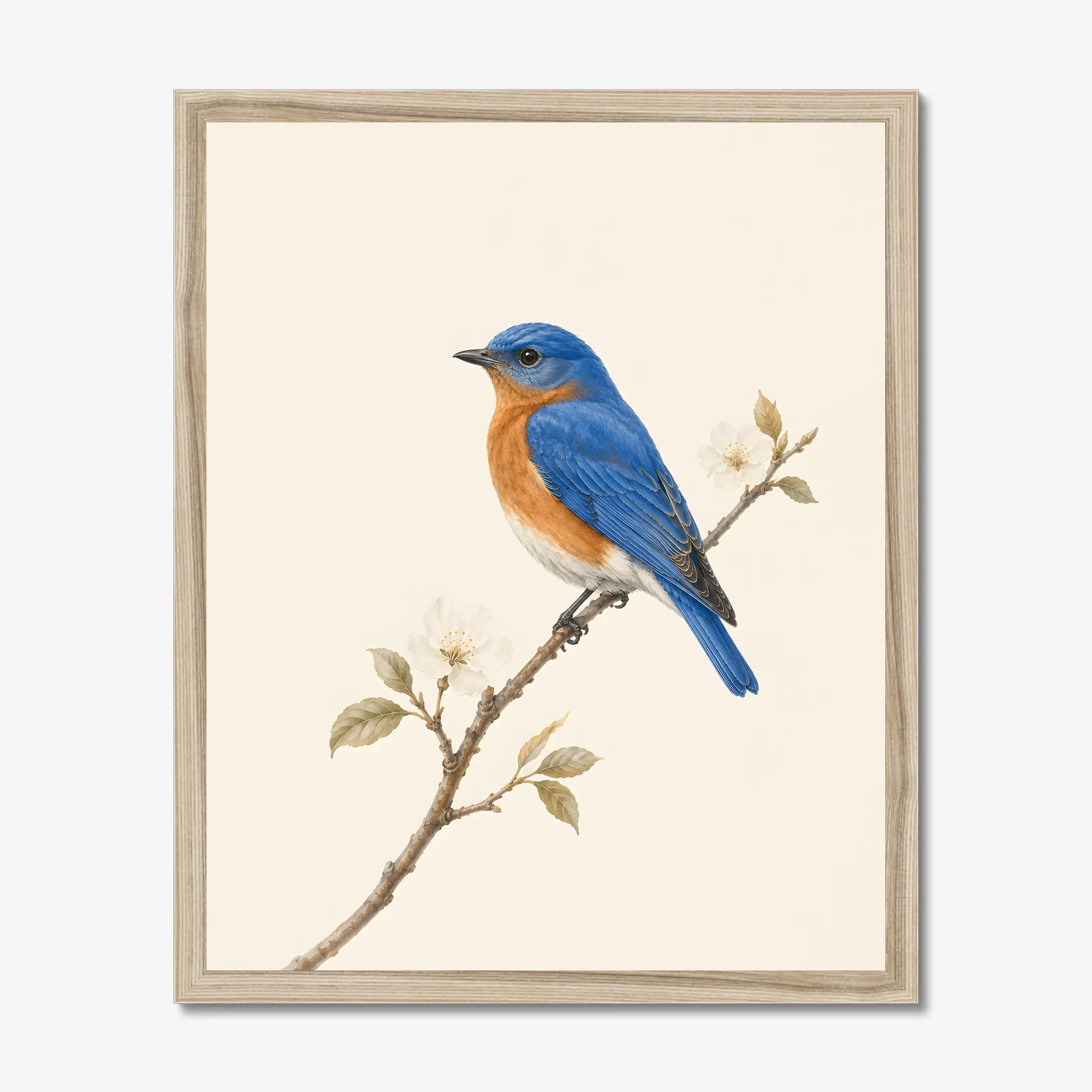 Eastern Bluebird Print in a natural frame