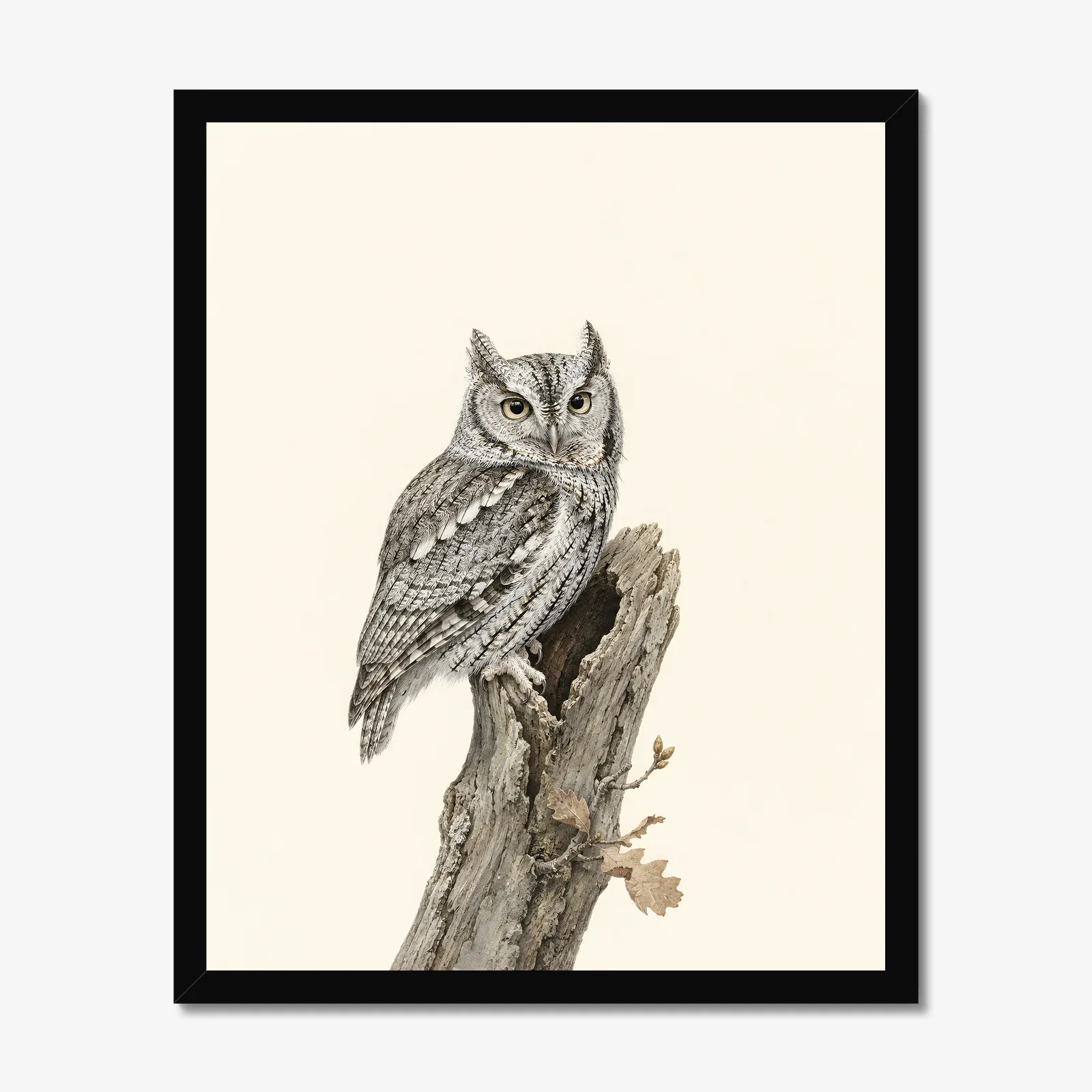 Eastern Screech-Owl Print in a black frame