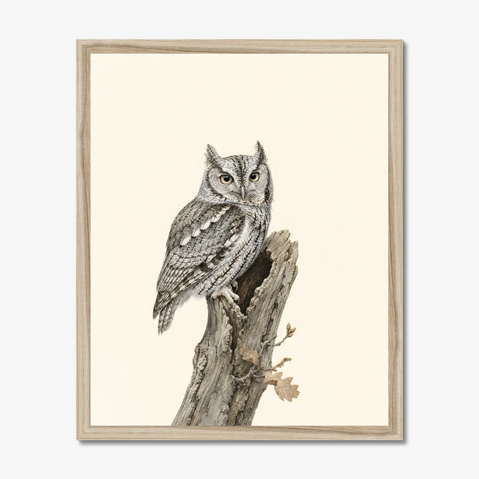 Eastern Screech-Owl Print in a natural frame