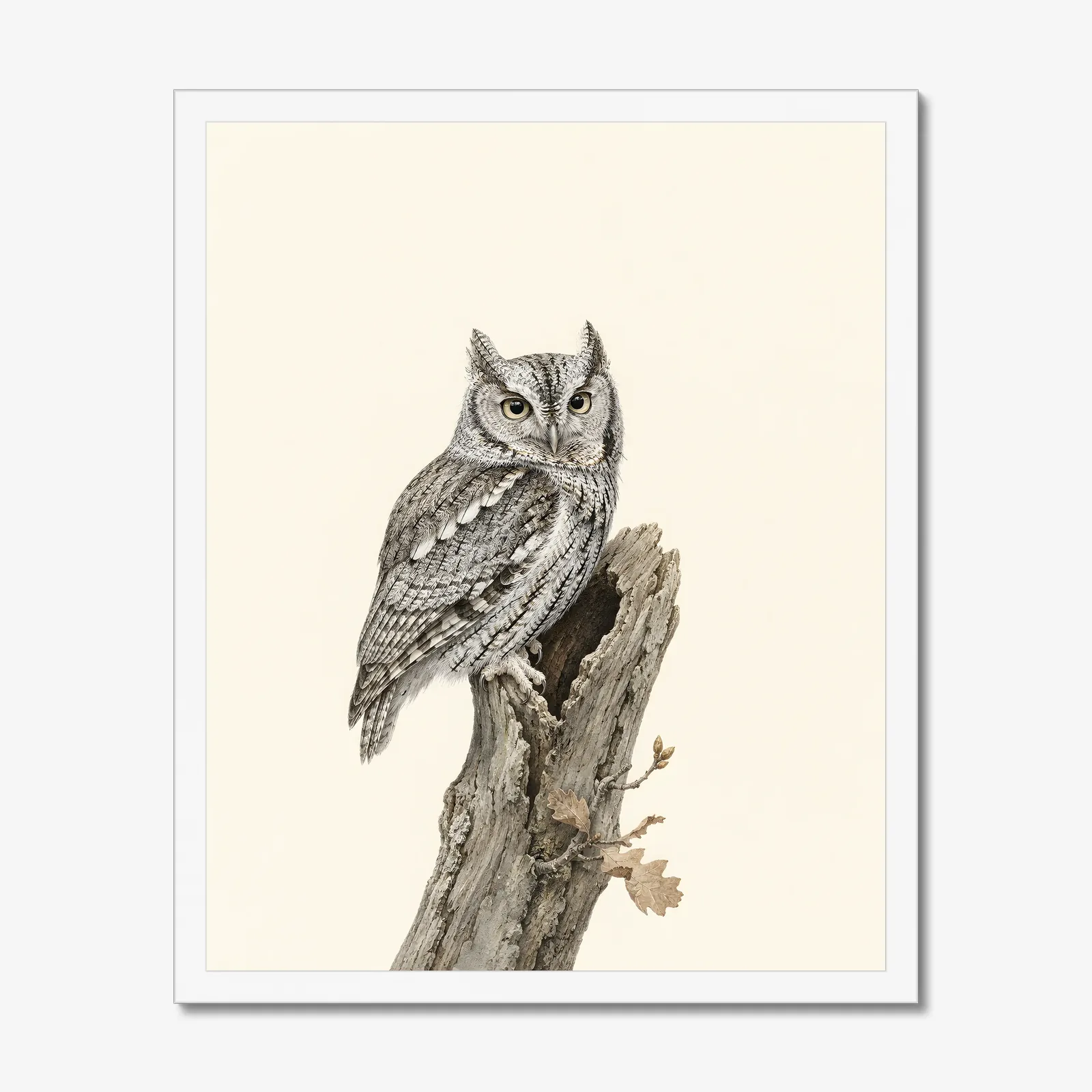 Eastern Screech-Owl Print in a white frame