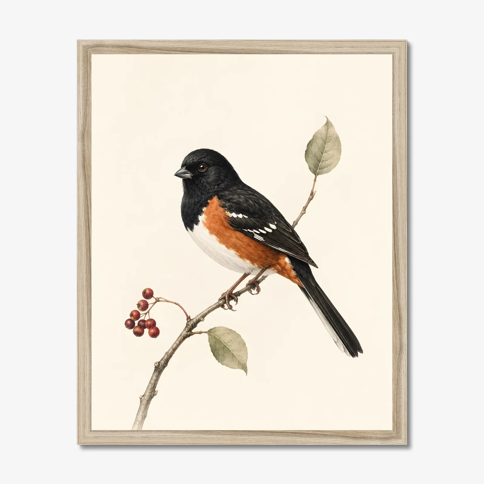 Eastern Towhee Print - Woodland Bird Wall Art in a natural frame