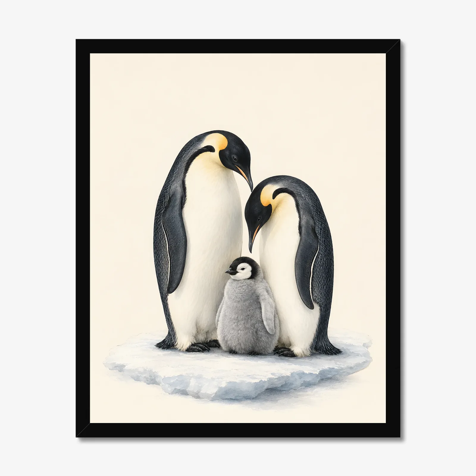 Emperor Penguin Family Print in a black frame