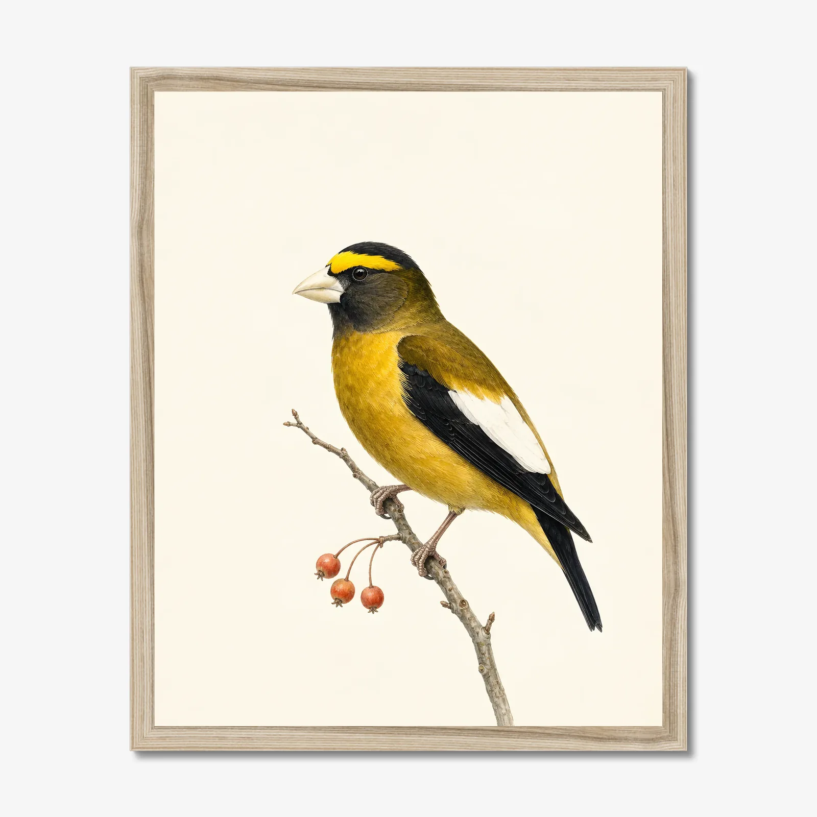 Evening Grosbeak Print in a natural frame