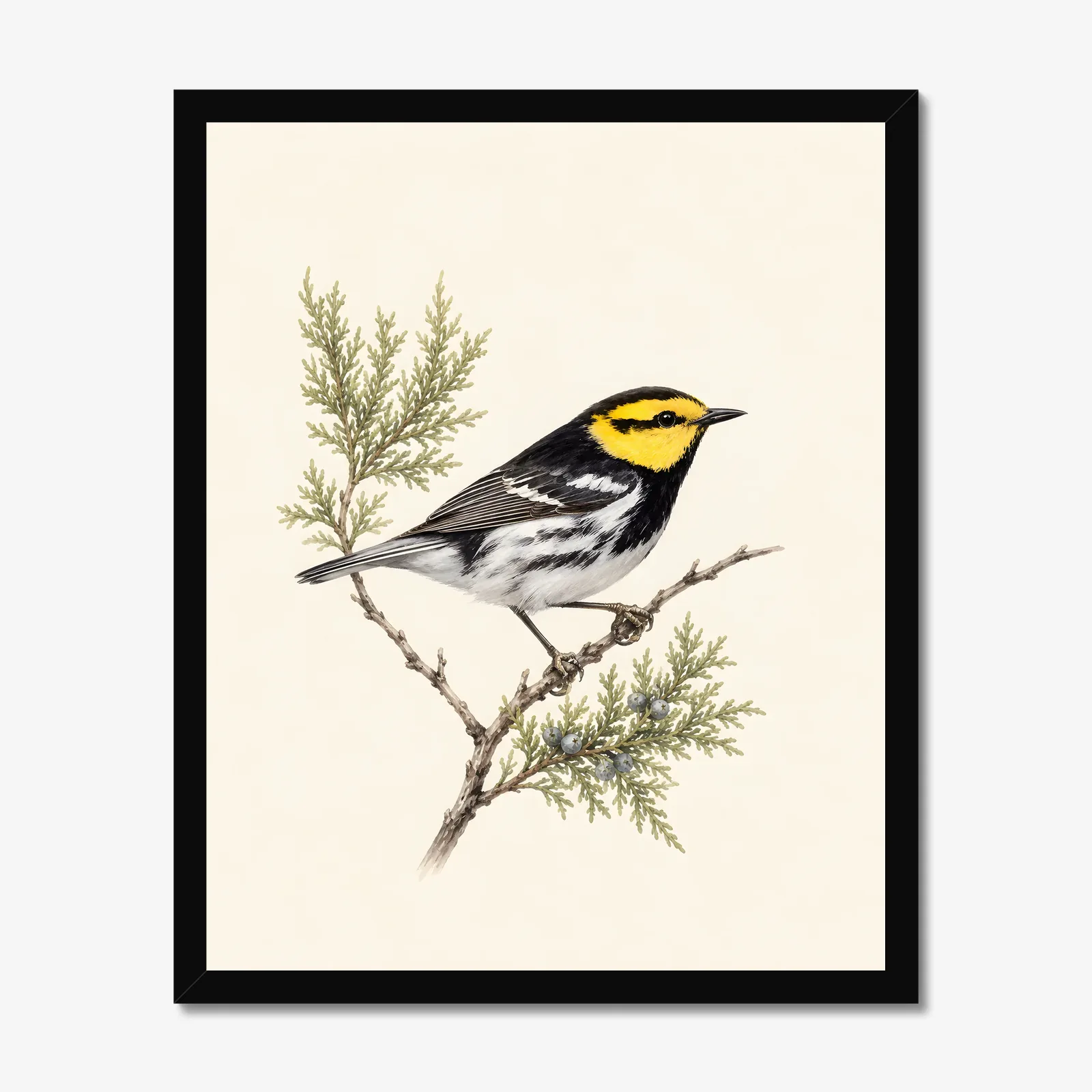 Golden-cheeked Warbler Print in a black frame