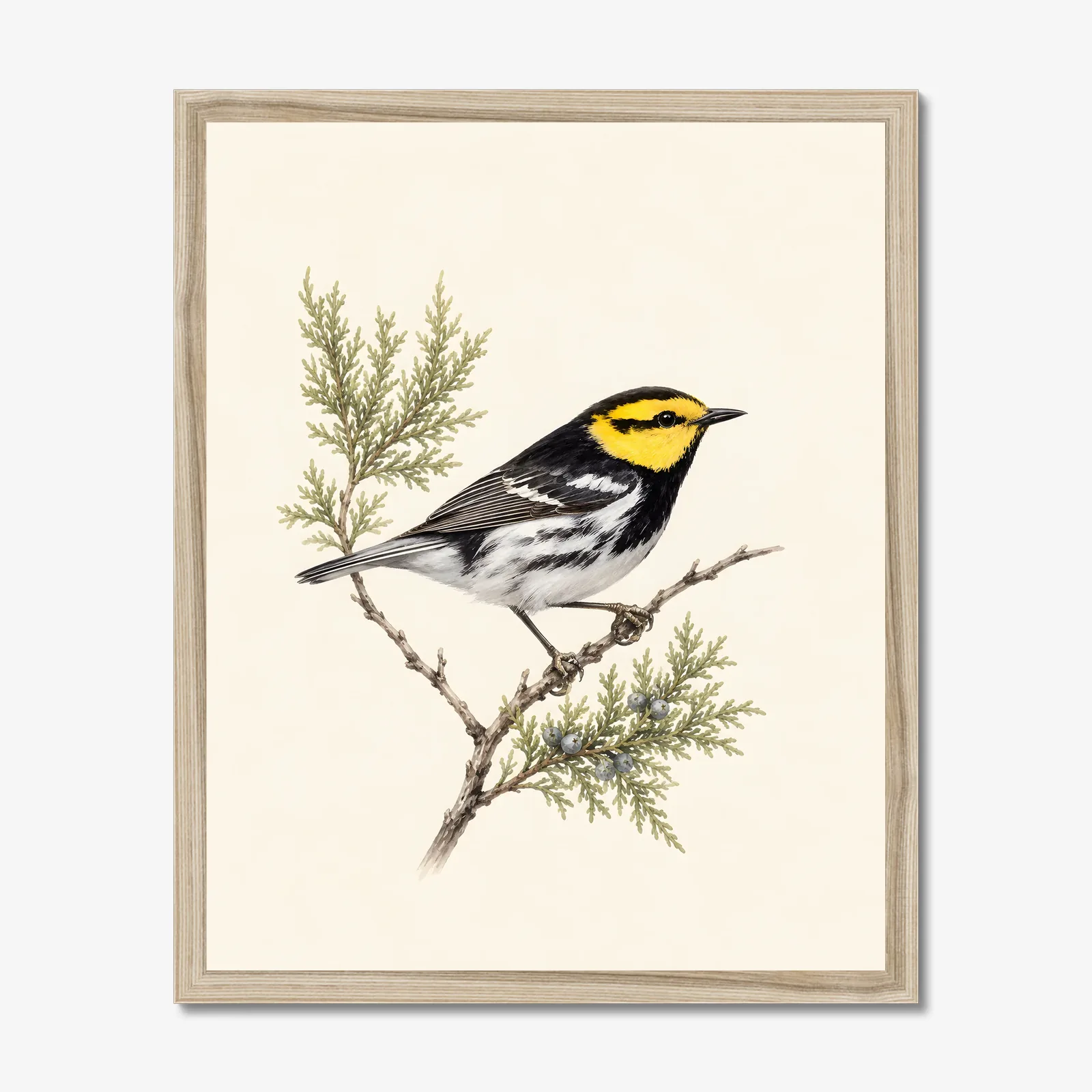 Golden-cheeked Warbler Print in a natural frame