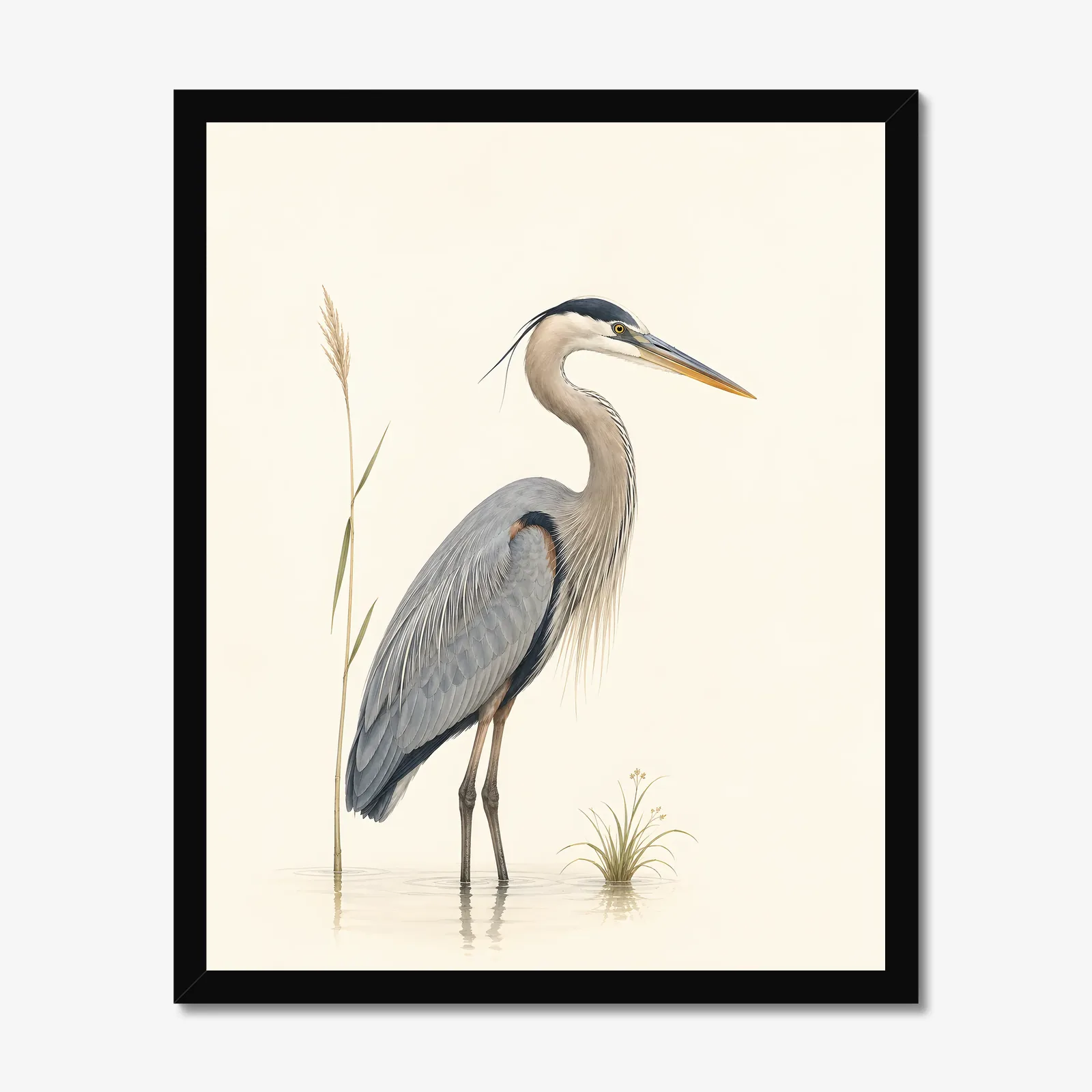 Great Blue Heron Print - Water's Edge in a black frame