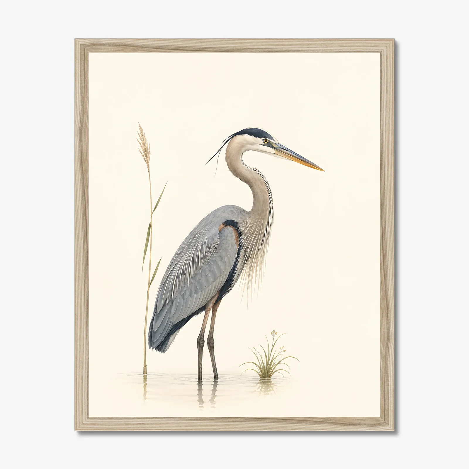 Great Blue Heron Print - Water's Edge shown as a fine-art print