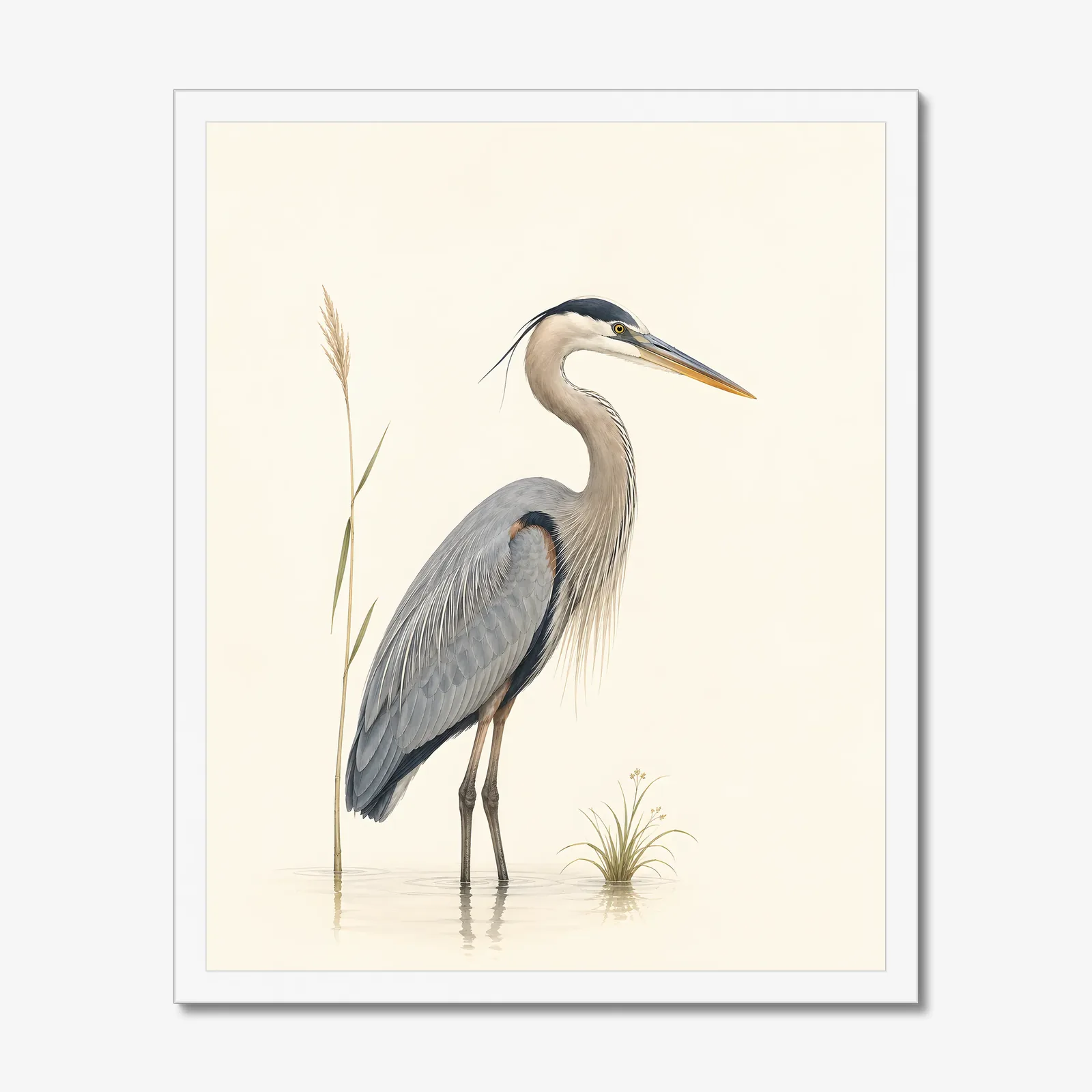 Great Blue Heron Print - Water's Edge in a white frame