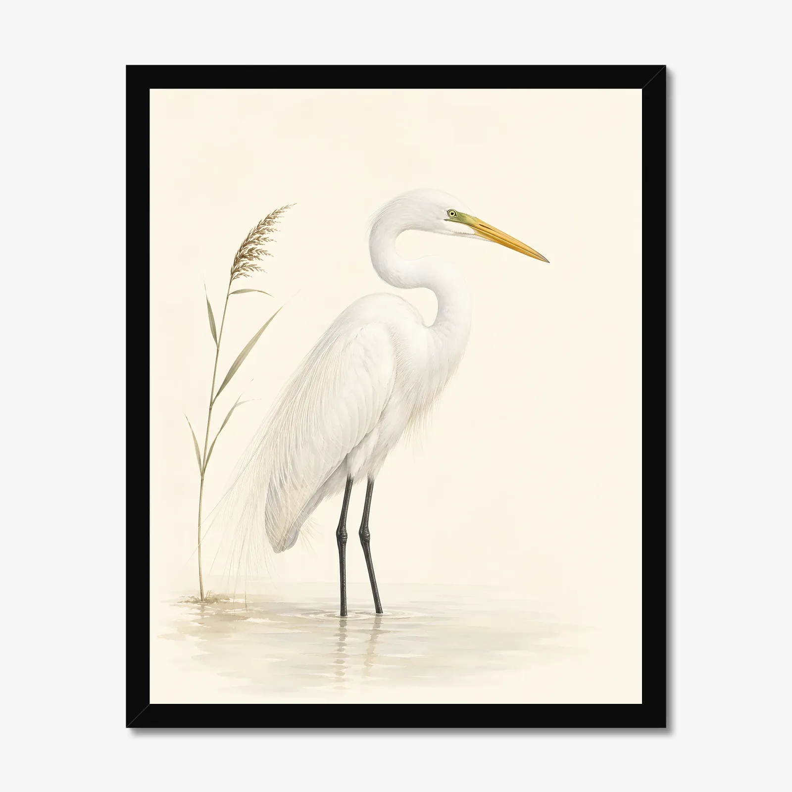 Great Egret Print - Marsh Study in a black frame