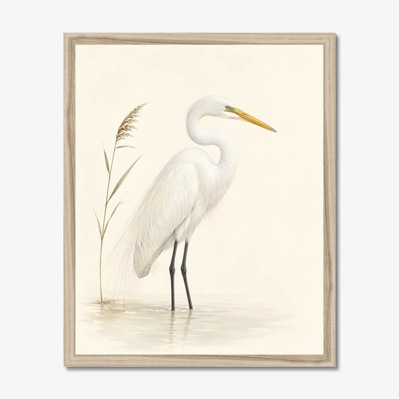 Great Egret Print - Marsh Study shown as a fine-art print