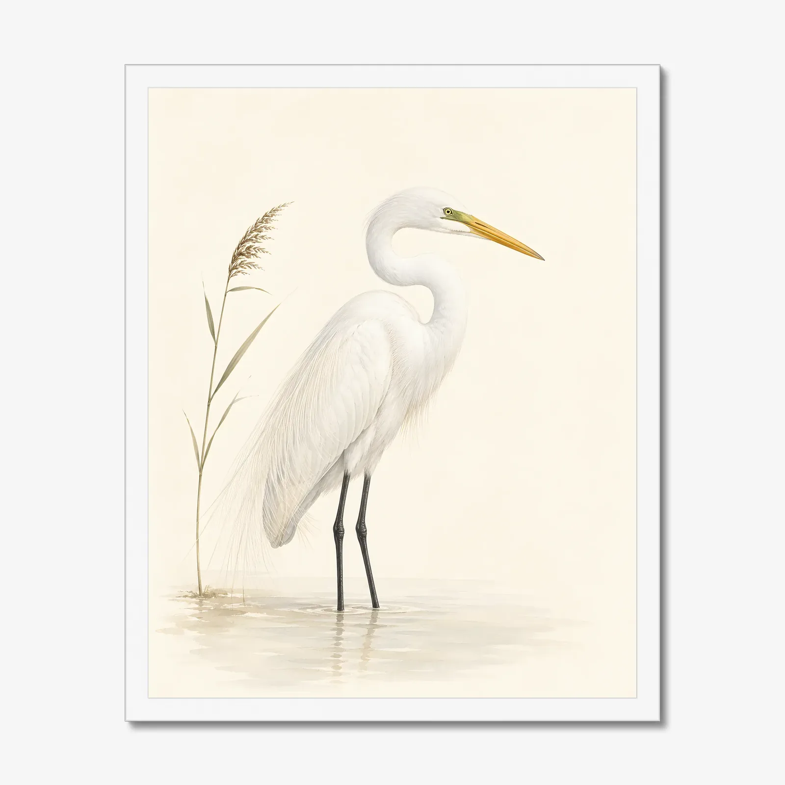 Great Egret Print - Marsh Study in a white frame