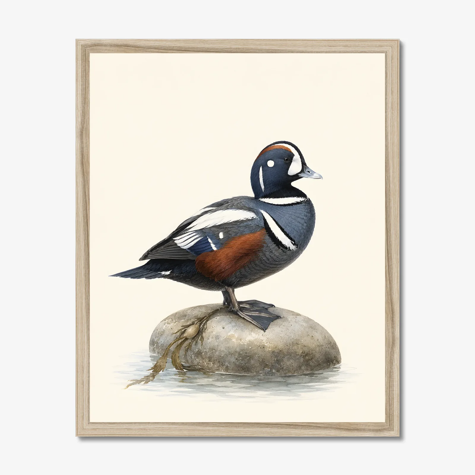 Harlequin Duck Print in a natural frame
