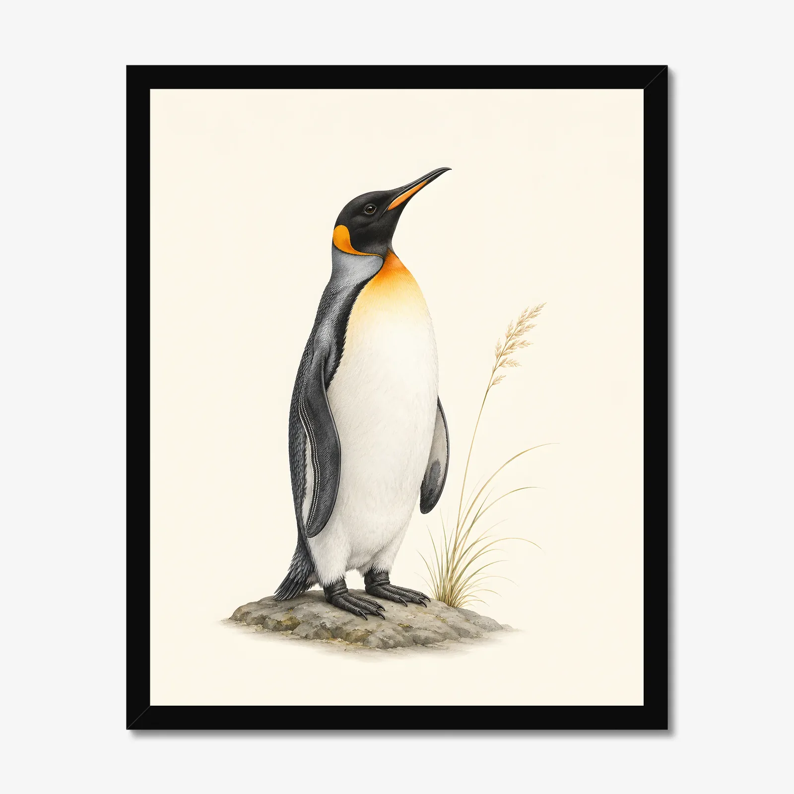 King Penguin Print in a black frame