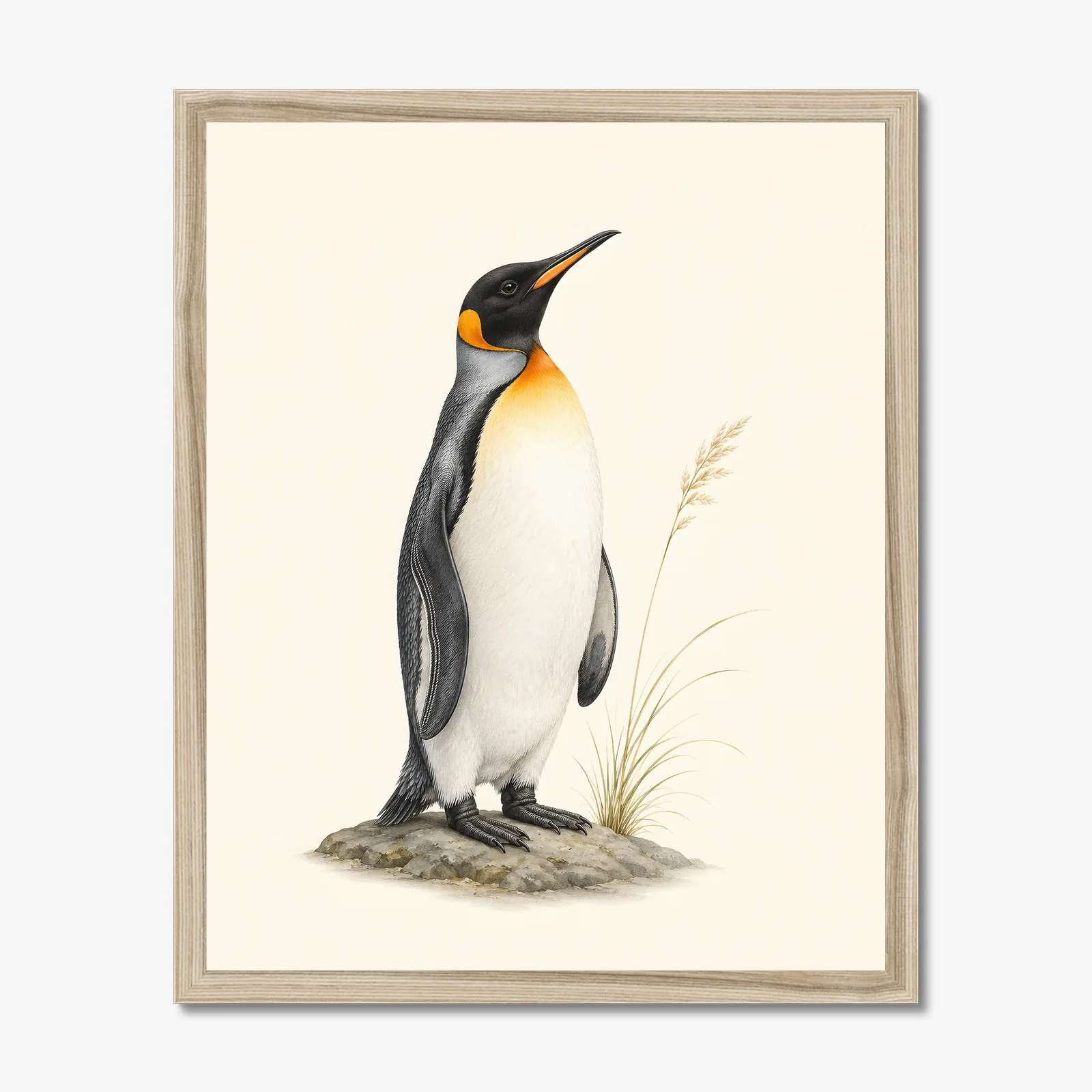 King Penguin Print in a natural frame