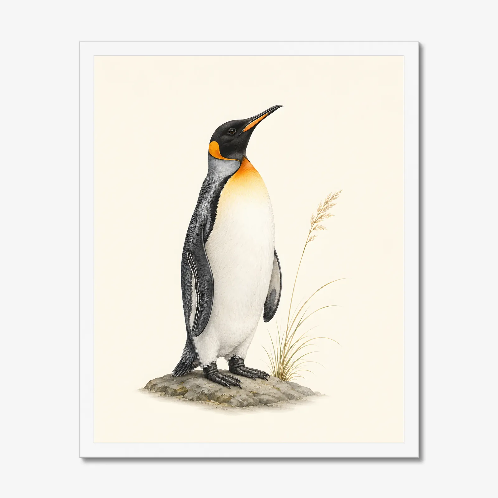 King Penguin Print in a white frame