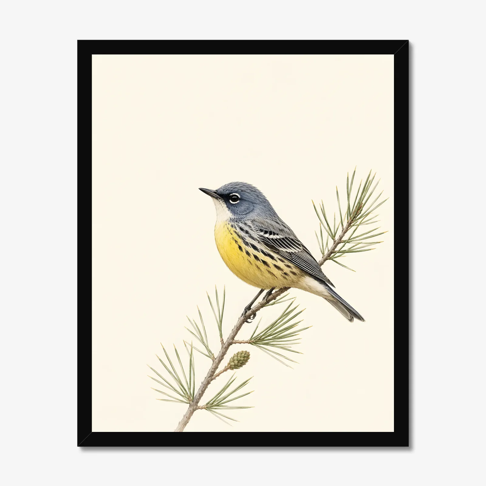 Kirtland's Warbler Print in a black frame