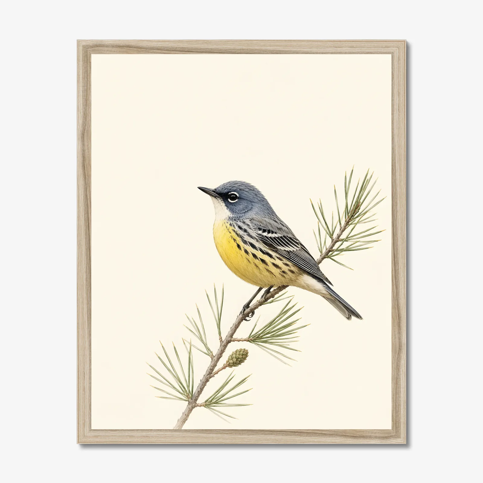 Kirtland's Warbler Print in a natural frame