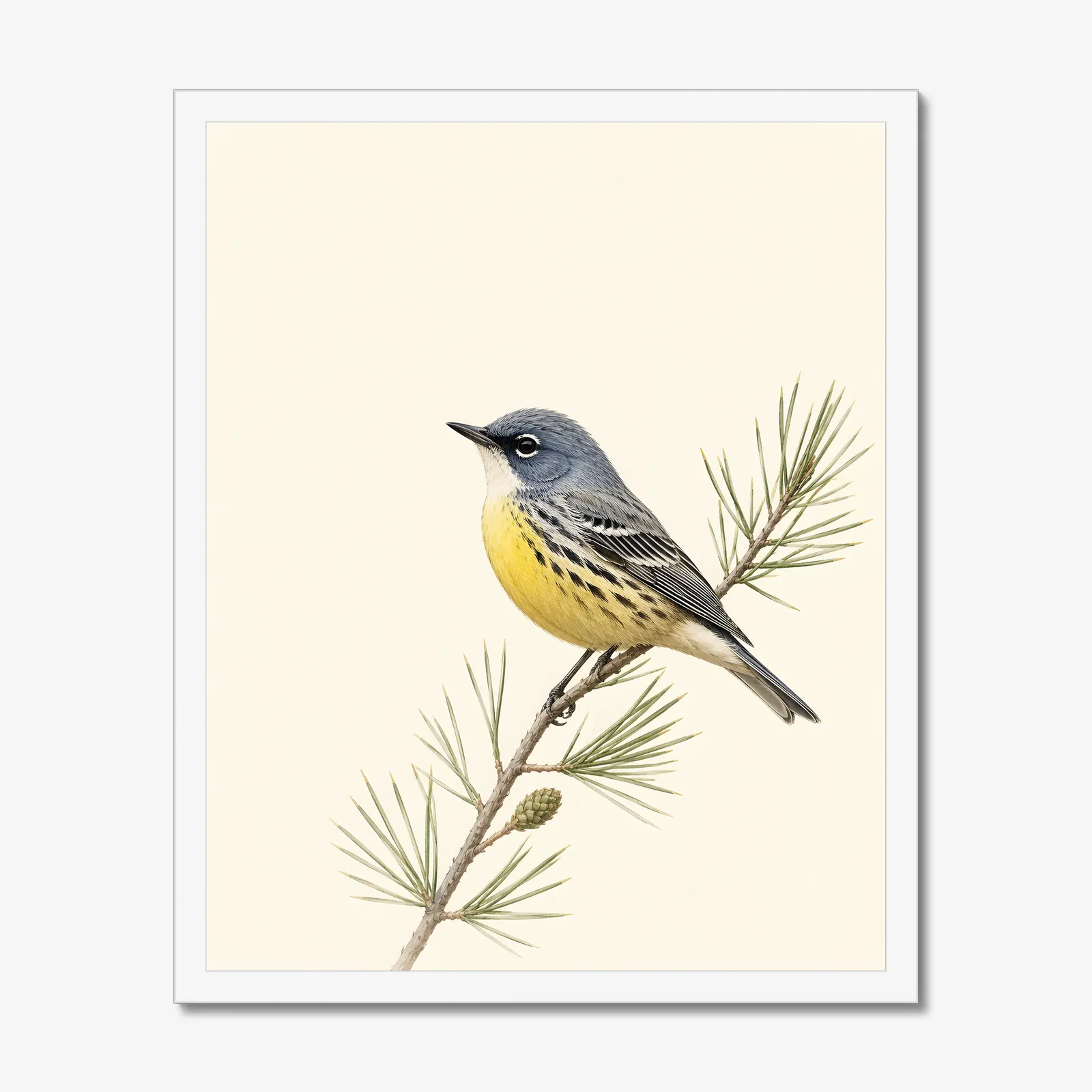 Kirtland's Warbler Print in a white frame