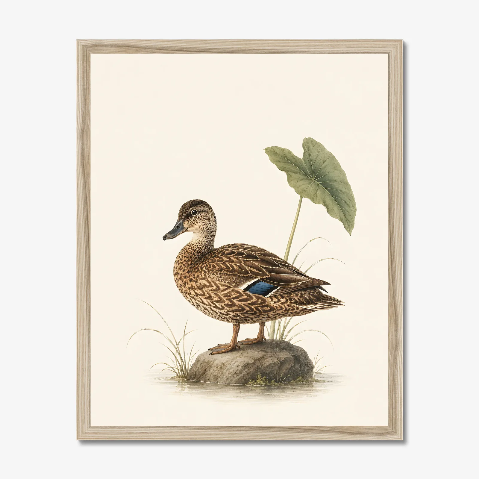 Koloa Maoli / Hawaiian Duck Print in a natural frame