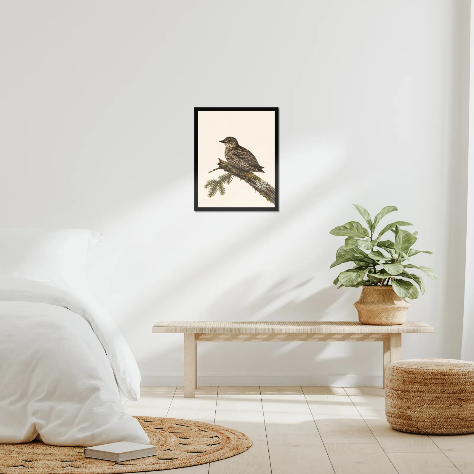Marbled Murrelet Print in a room setting, shown at 16x20 inches