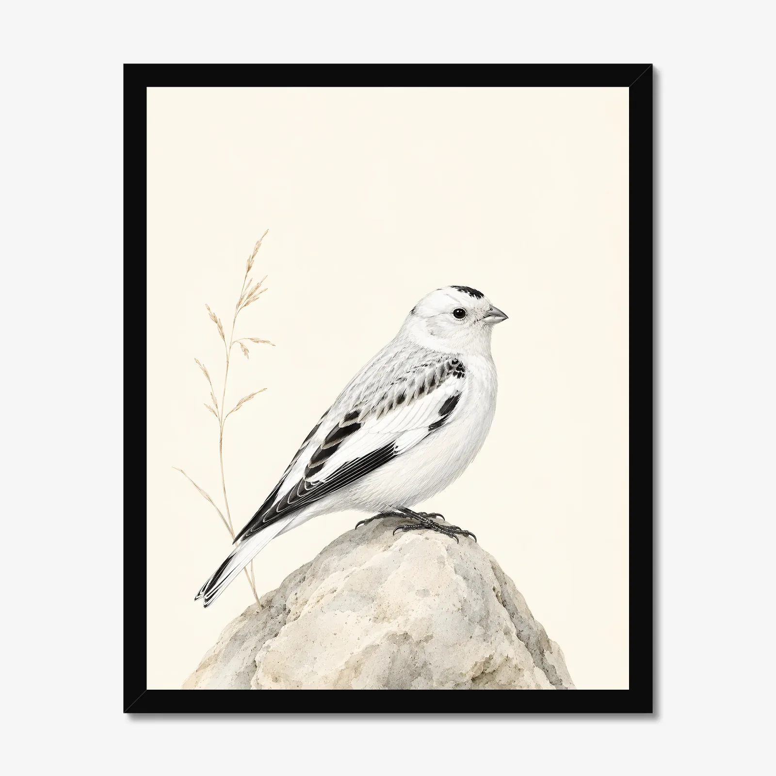 McKay's Bunting Print in a black frame