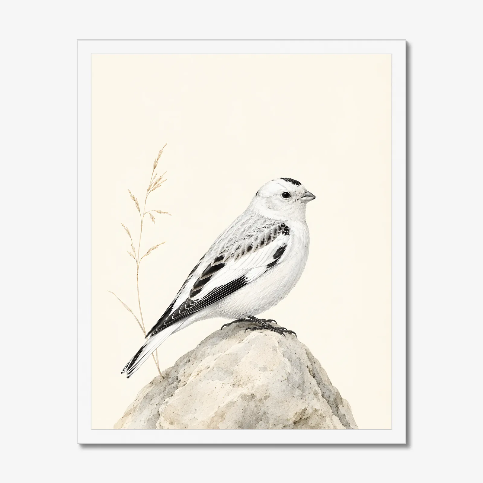 McKay's Bunting Print in a white frame