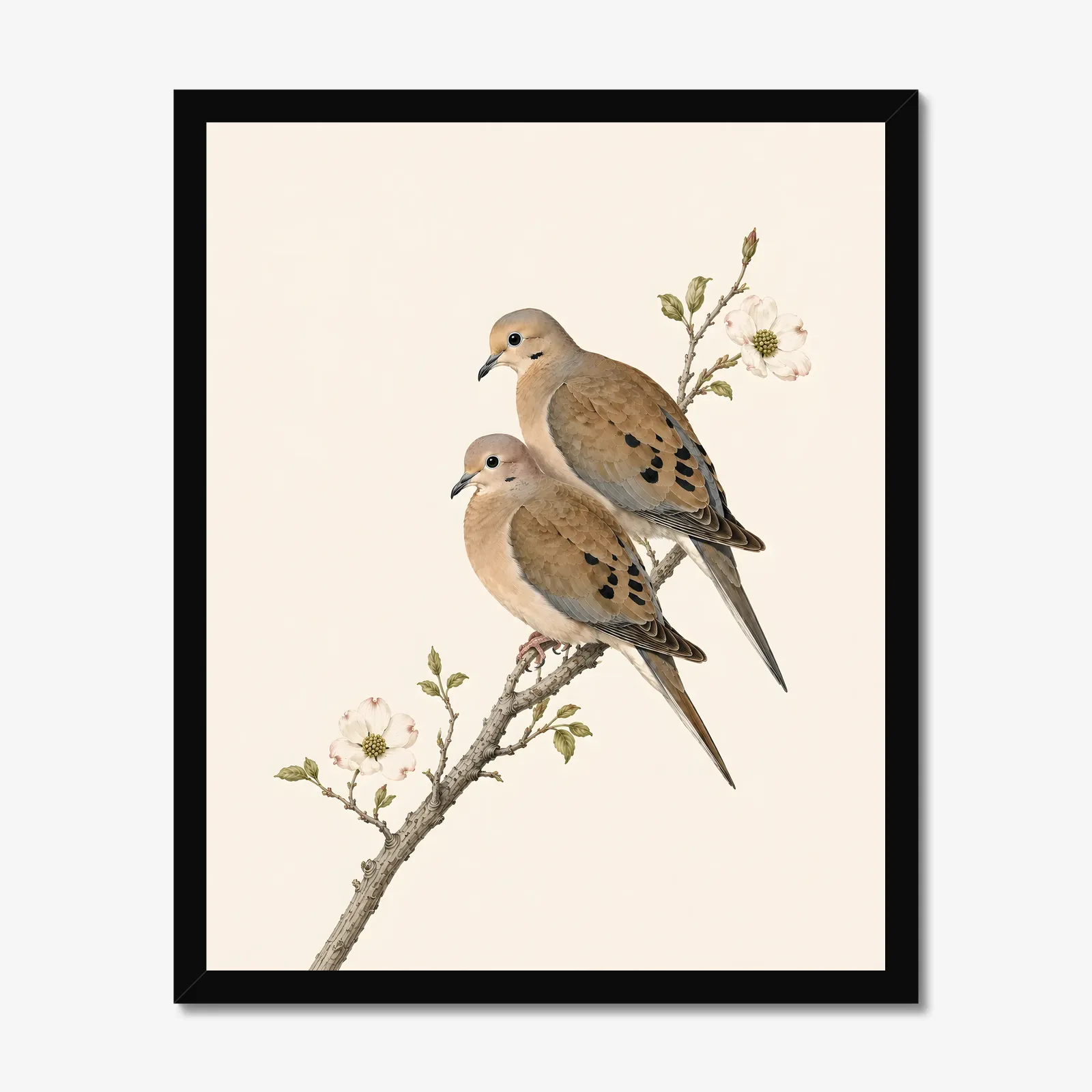 Mourning Dove Print in a black frame