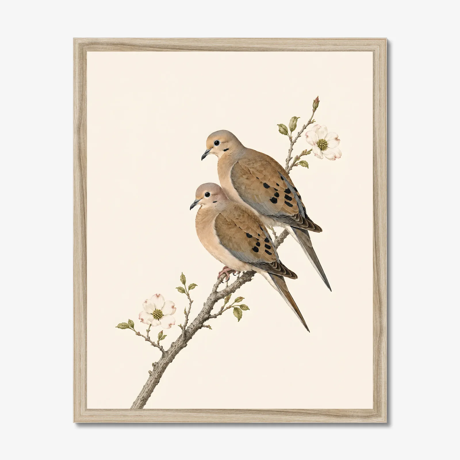 Mourning Dove Print in a natural frame