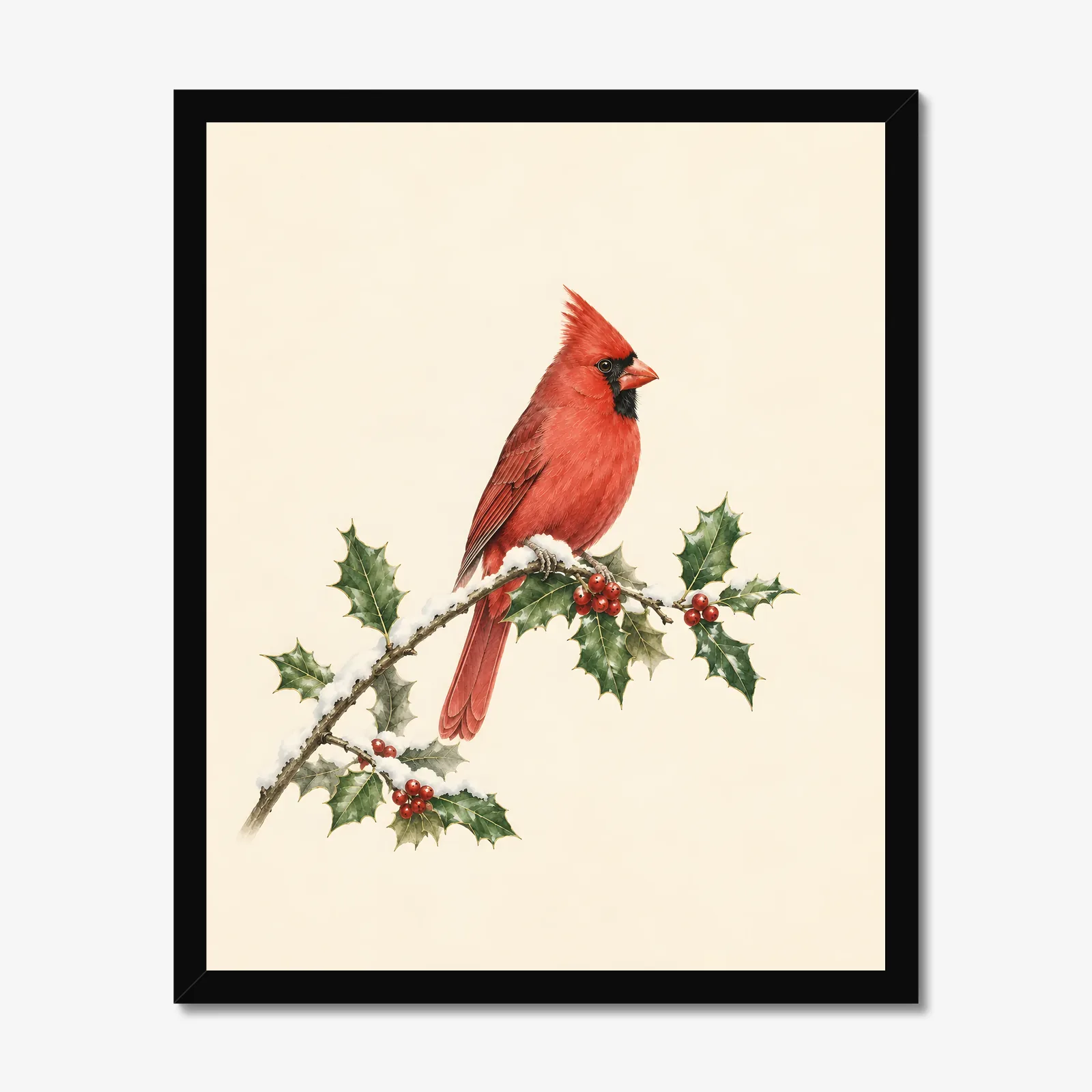 Northern Cardinal Print - Male on Christmas Holly in a black frame