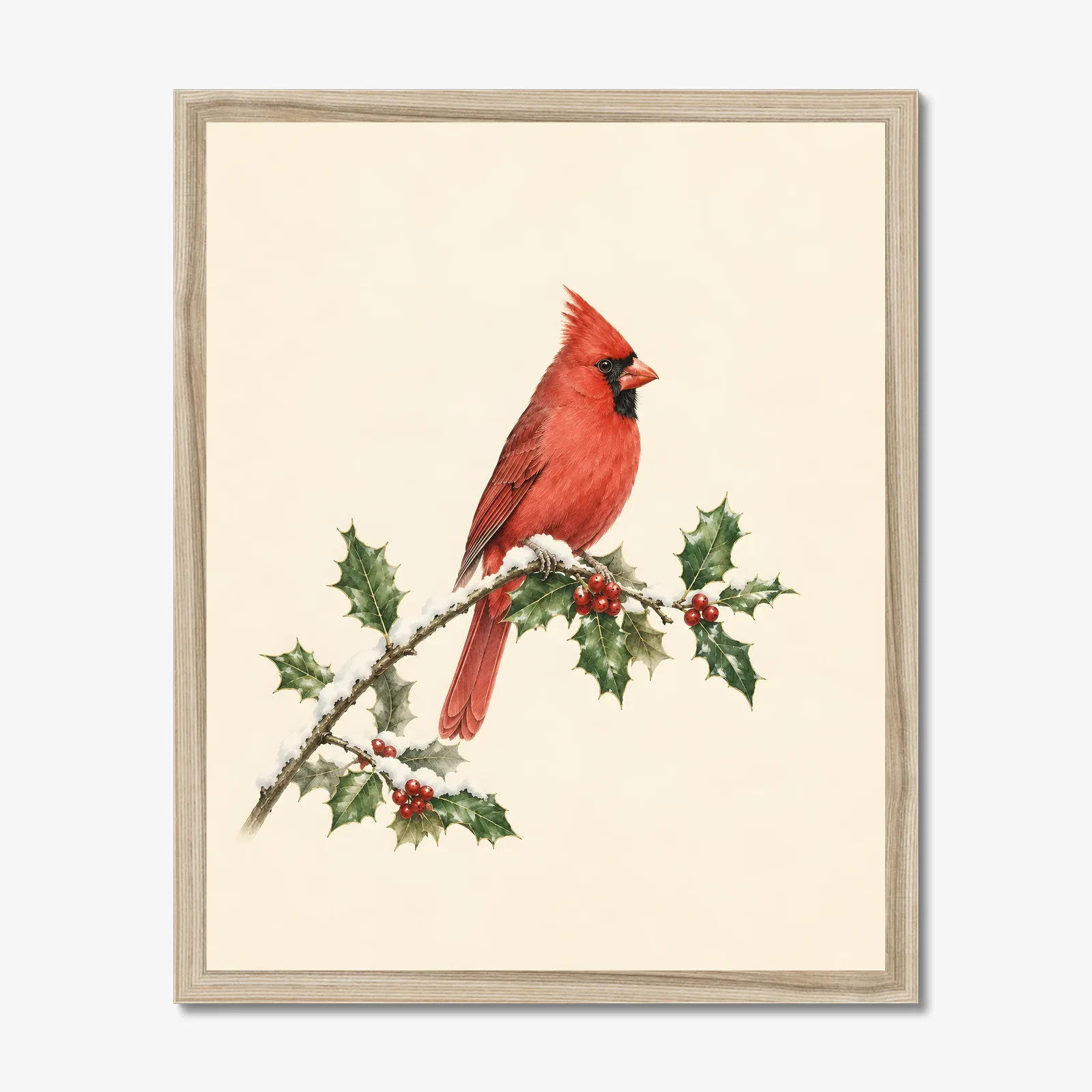 Northern Cardinal Print - Male on Christmas Holly in a natural frame