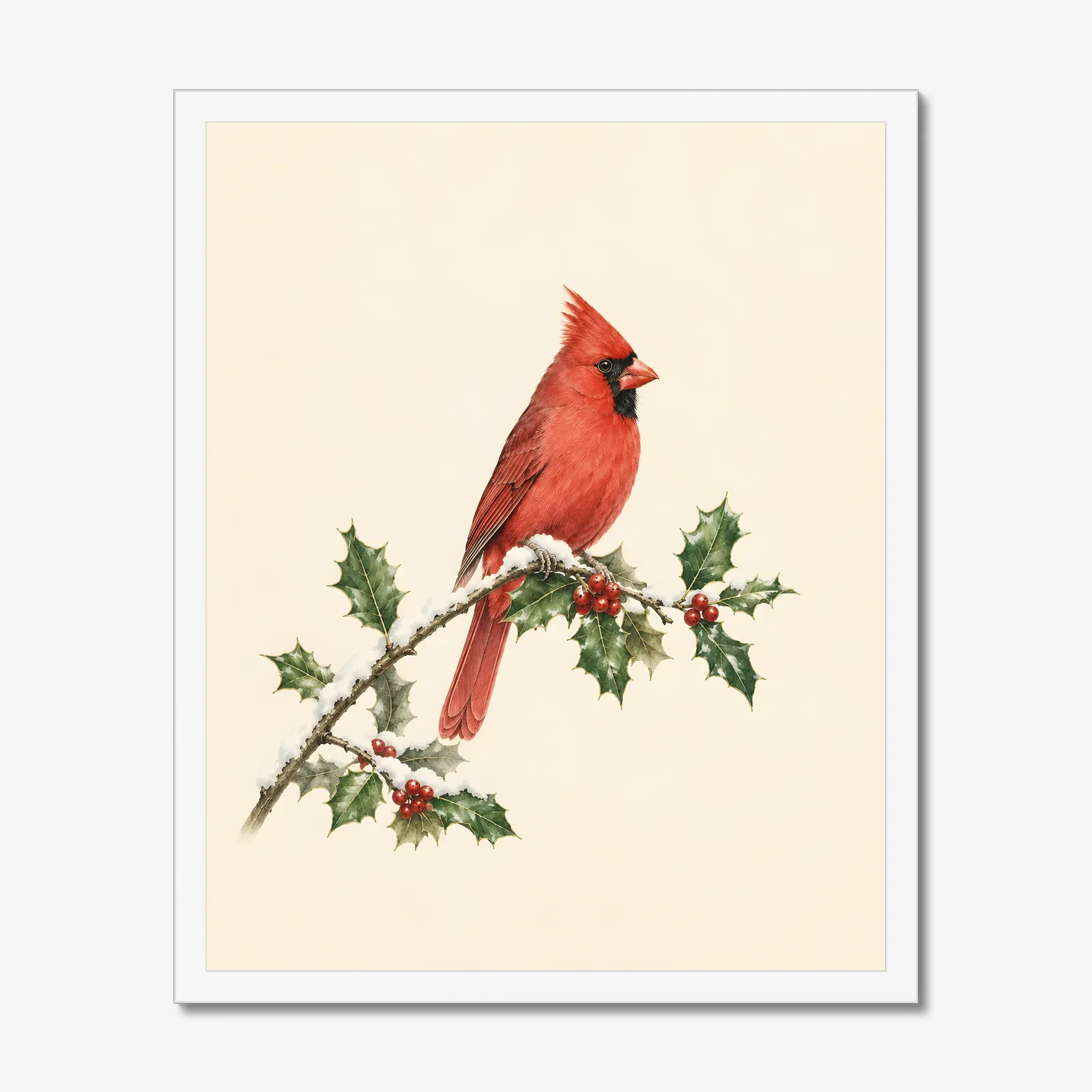 Northern Cardinal Print - Male on Christmas Holly in a white frame