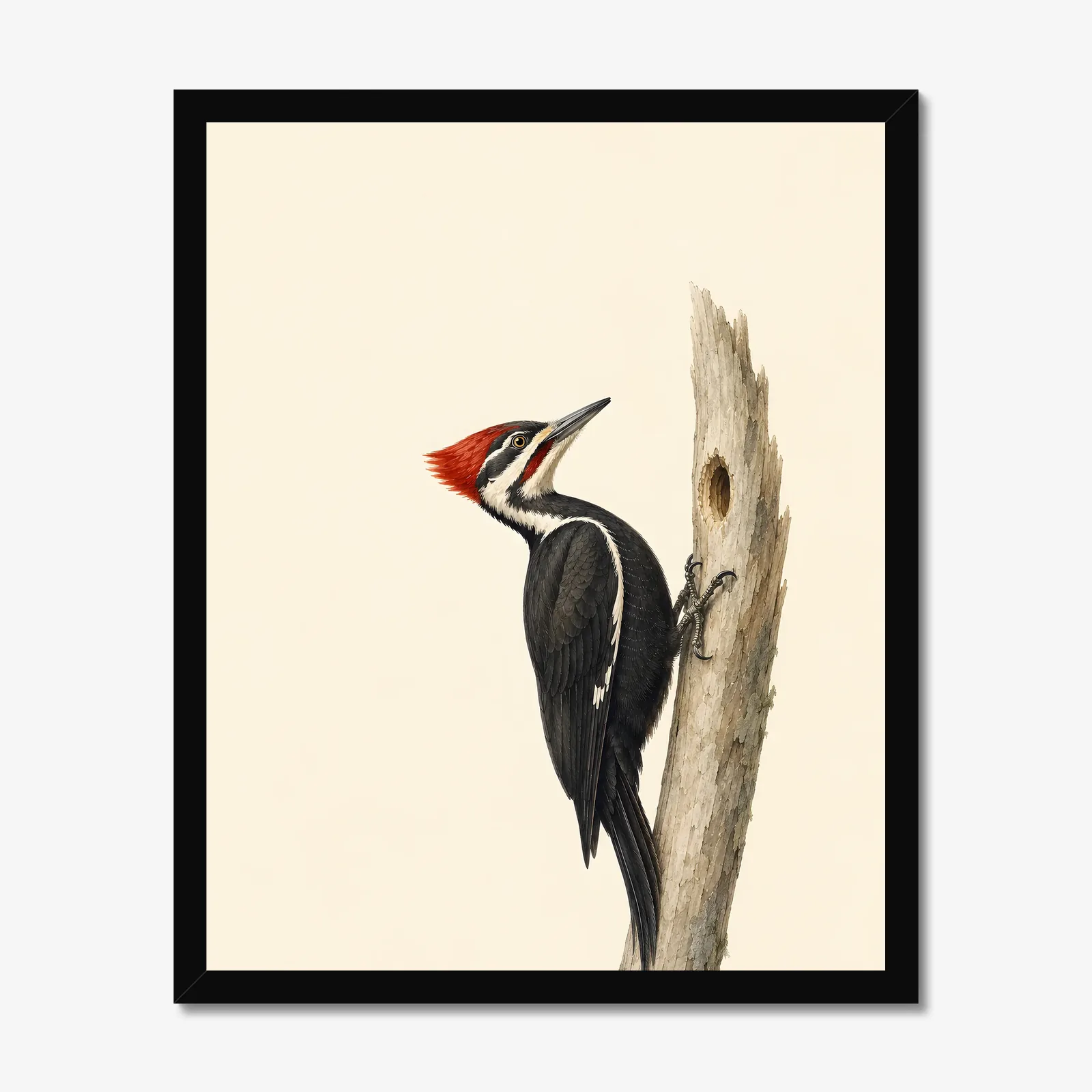 Pileated Woodpecker Print in a black frame