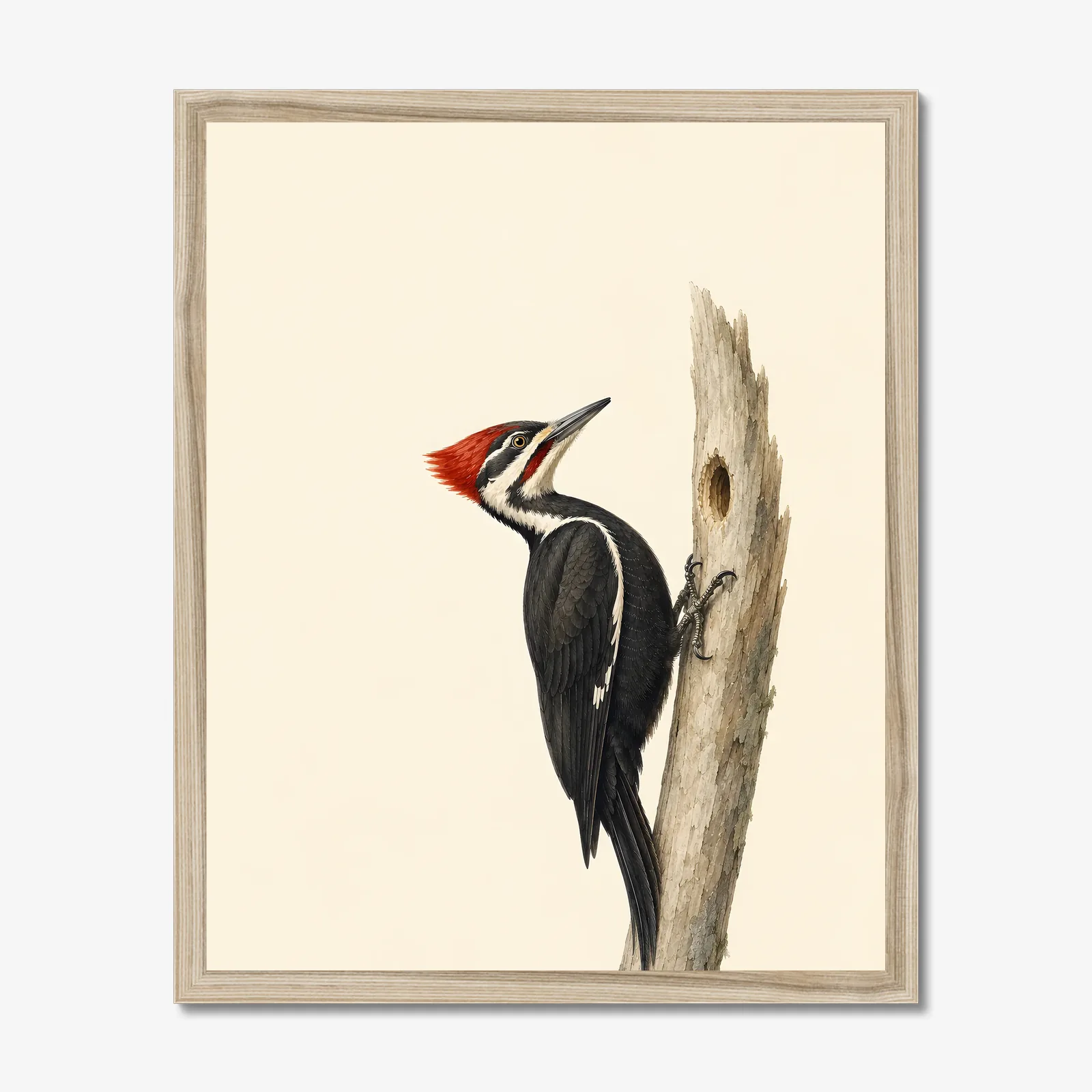 Pileated Woodpecker Print in a natural frame