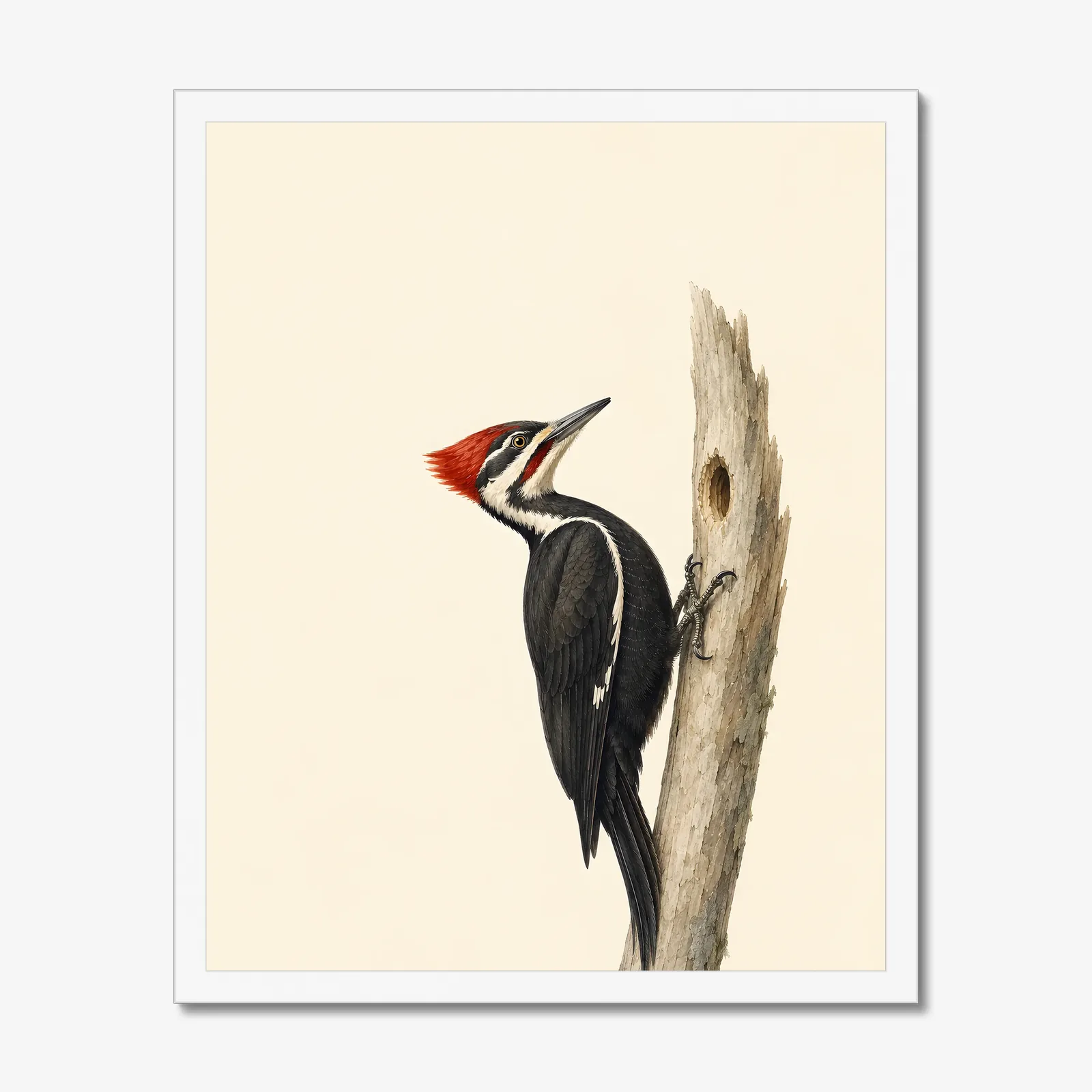 Pileated Woodpecker Print in a white frame