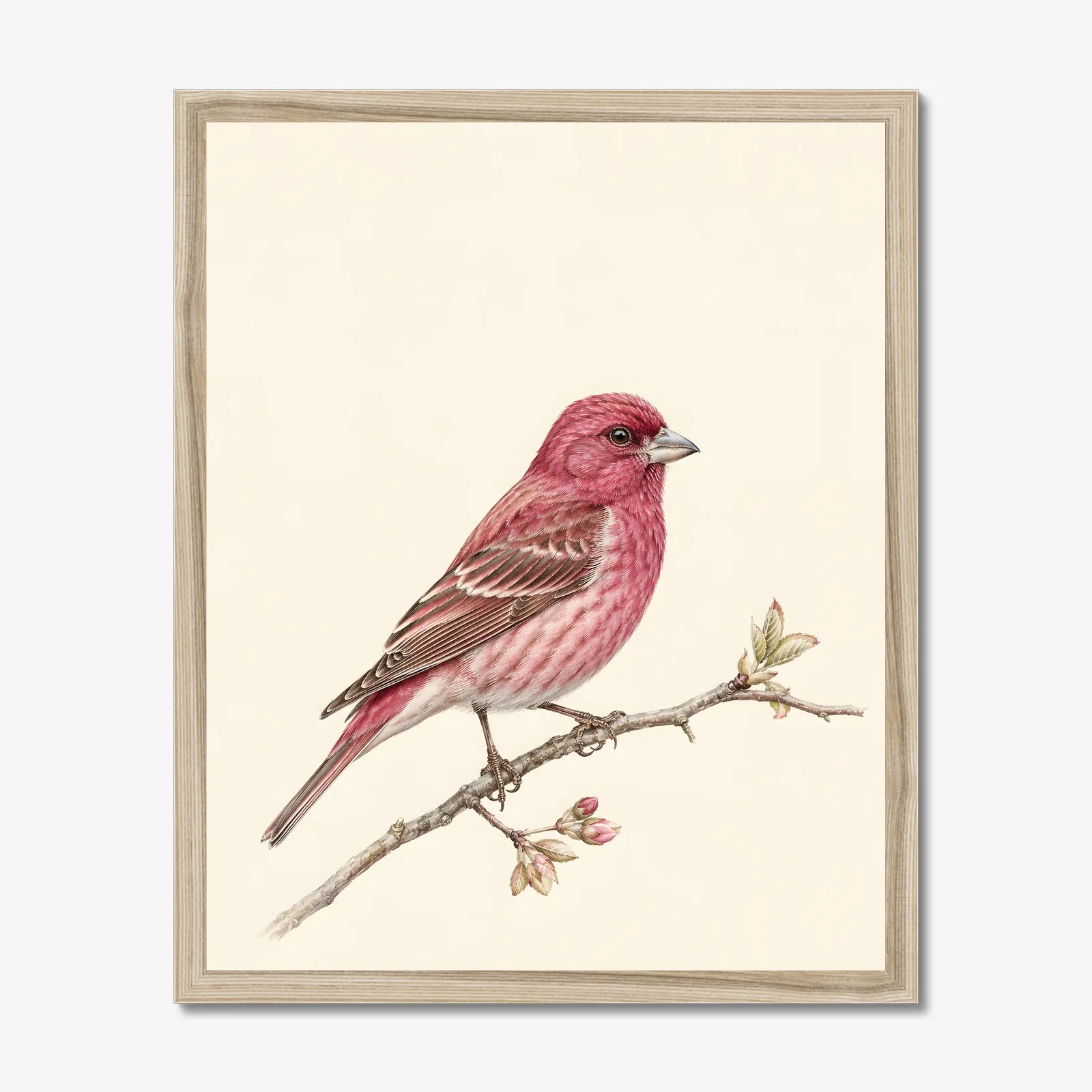 Purple Finch Print in a natural frame