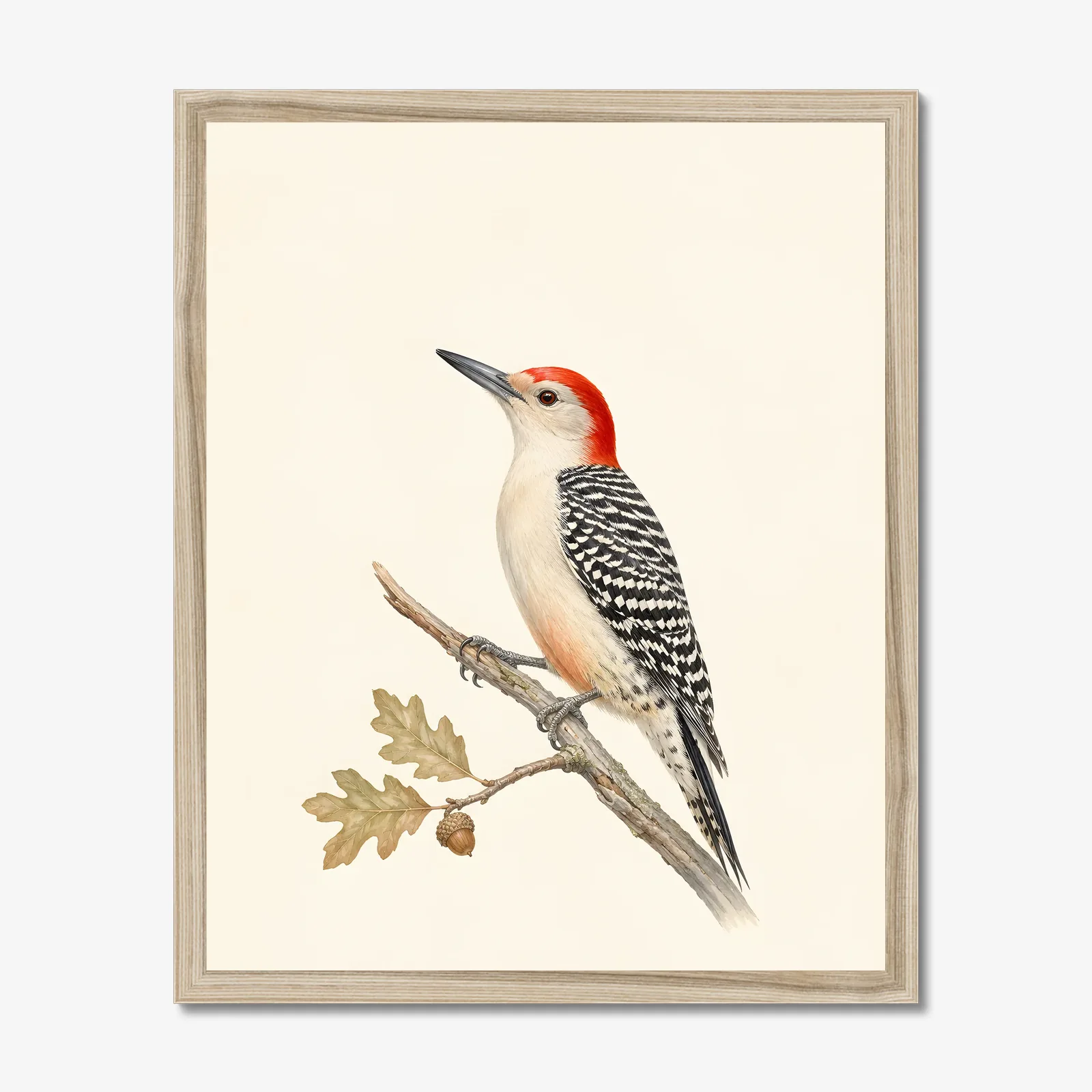Red-bellied Woodpecker Print shown as a fine-art print