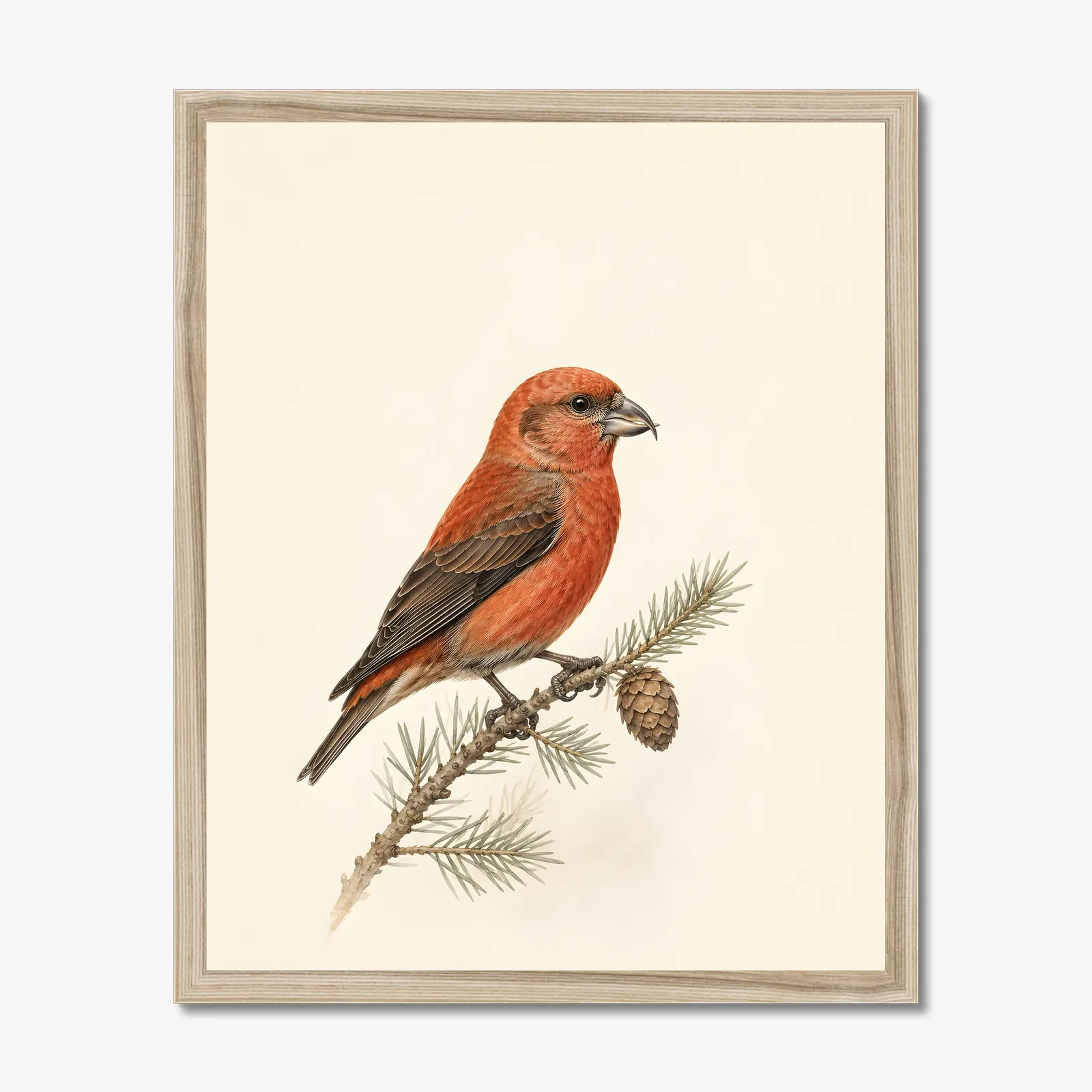 Red Crossbill Print in a natural frame