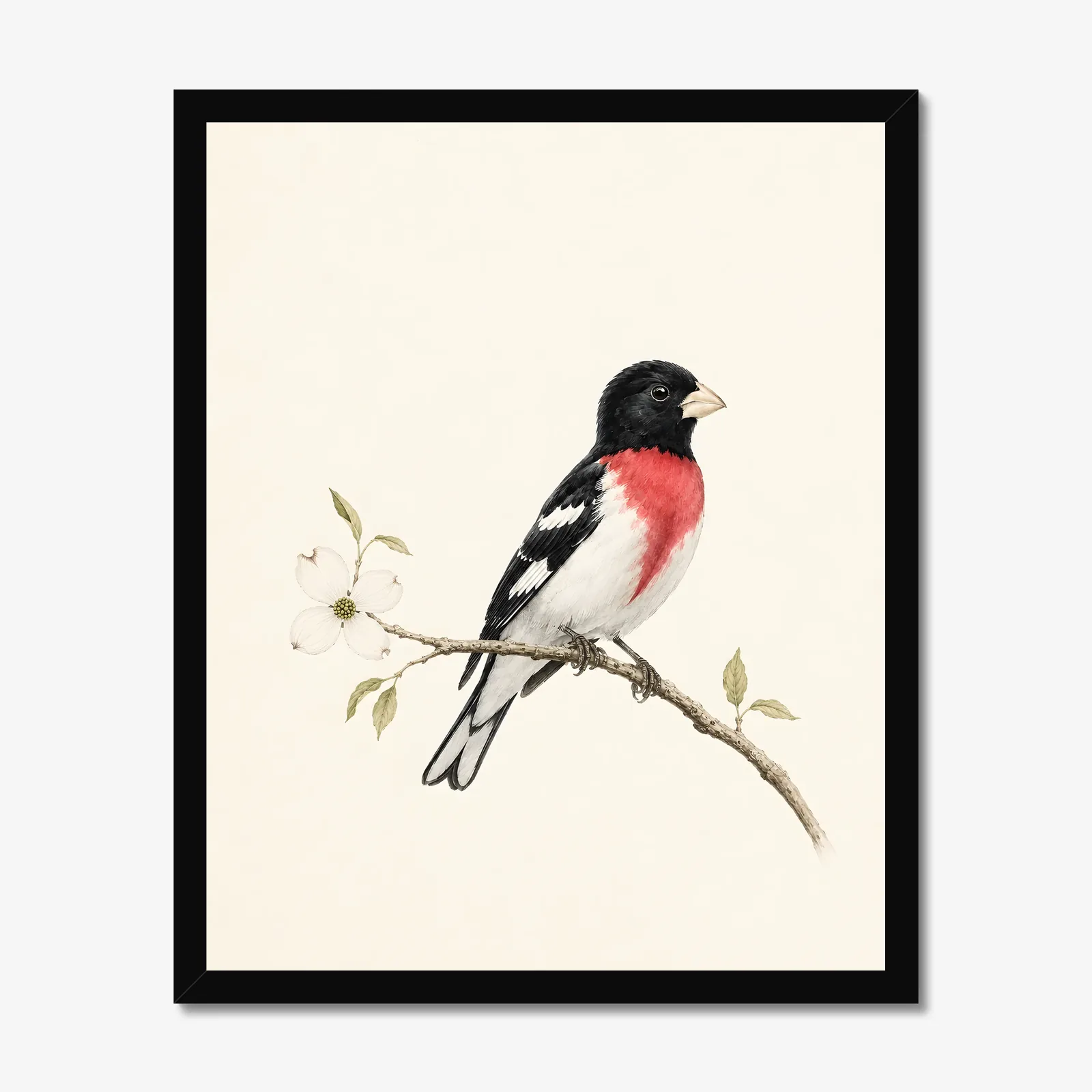 Rose-breasted Grosbeak Print in a black frame